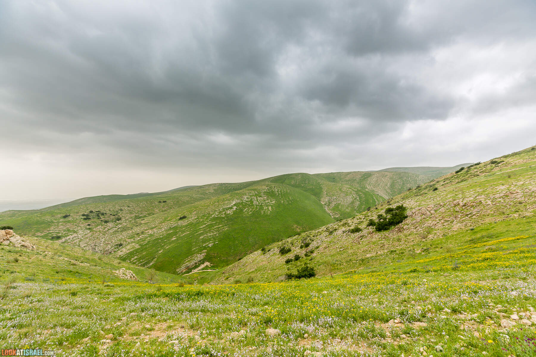 LookAtIsrael.com - Заповедник Ум Зука в Иорданской долине, Израиль | Um Zuka Reserve, Jordan valley, Israel | שמורת אום זוקה בבקעת ירדן