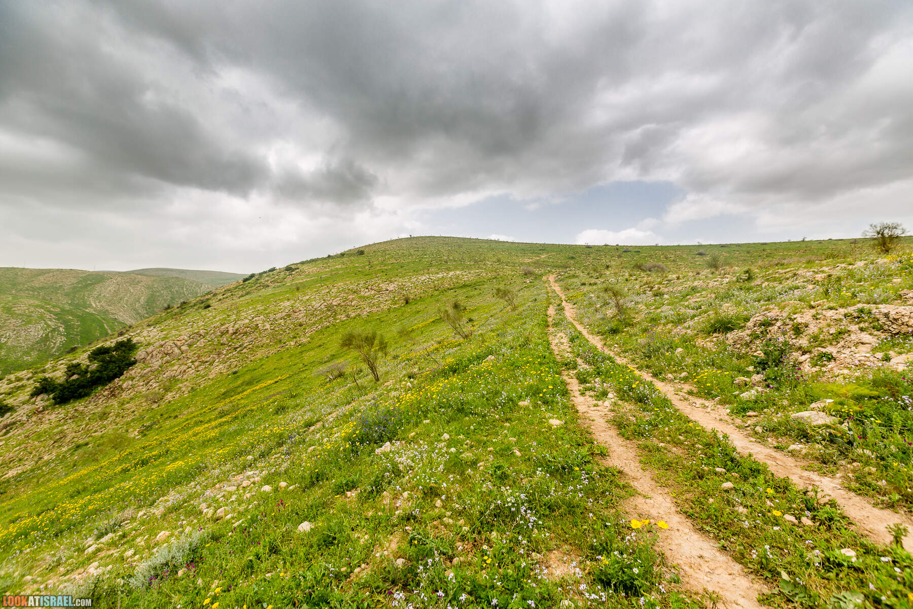 LookAtIsrael.com - Заповедник Ум Зука в Иорданской долине, Израиль | Um Zuka Reserve, Jordan valley, Israel | שמורת אום זוקה בבקעת ירדן