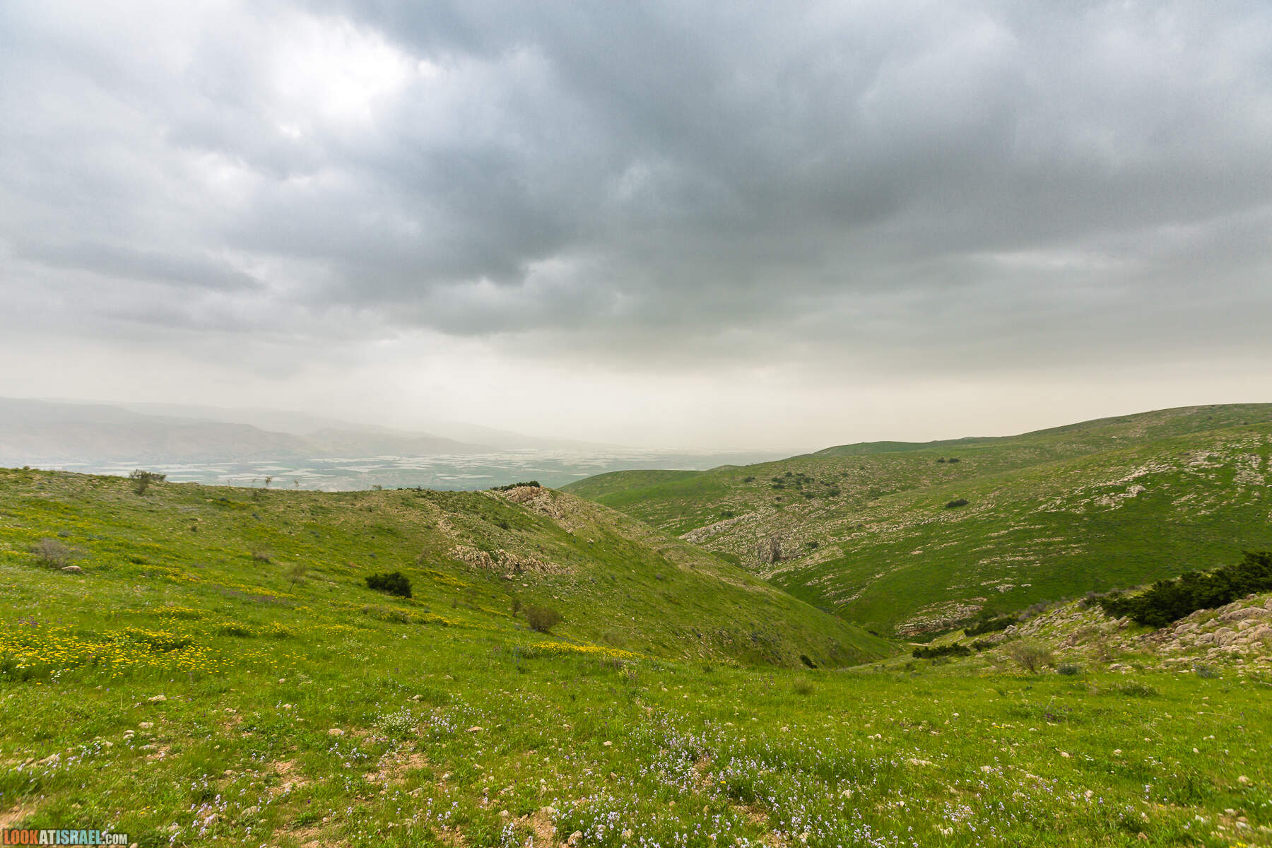 LookAtIsrael.com - Заповедник Ум Зука в Иорданской долине, Израиль | Um Zuka Reserve, Jordan valley, Israel | שמורת אום זוקה בבקעת ירדן