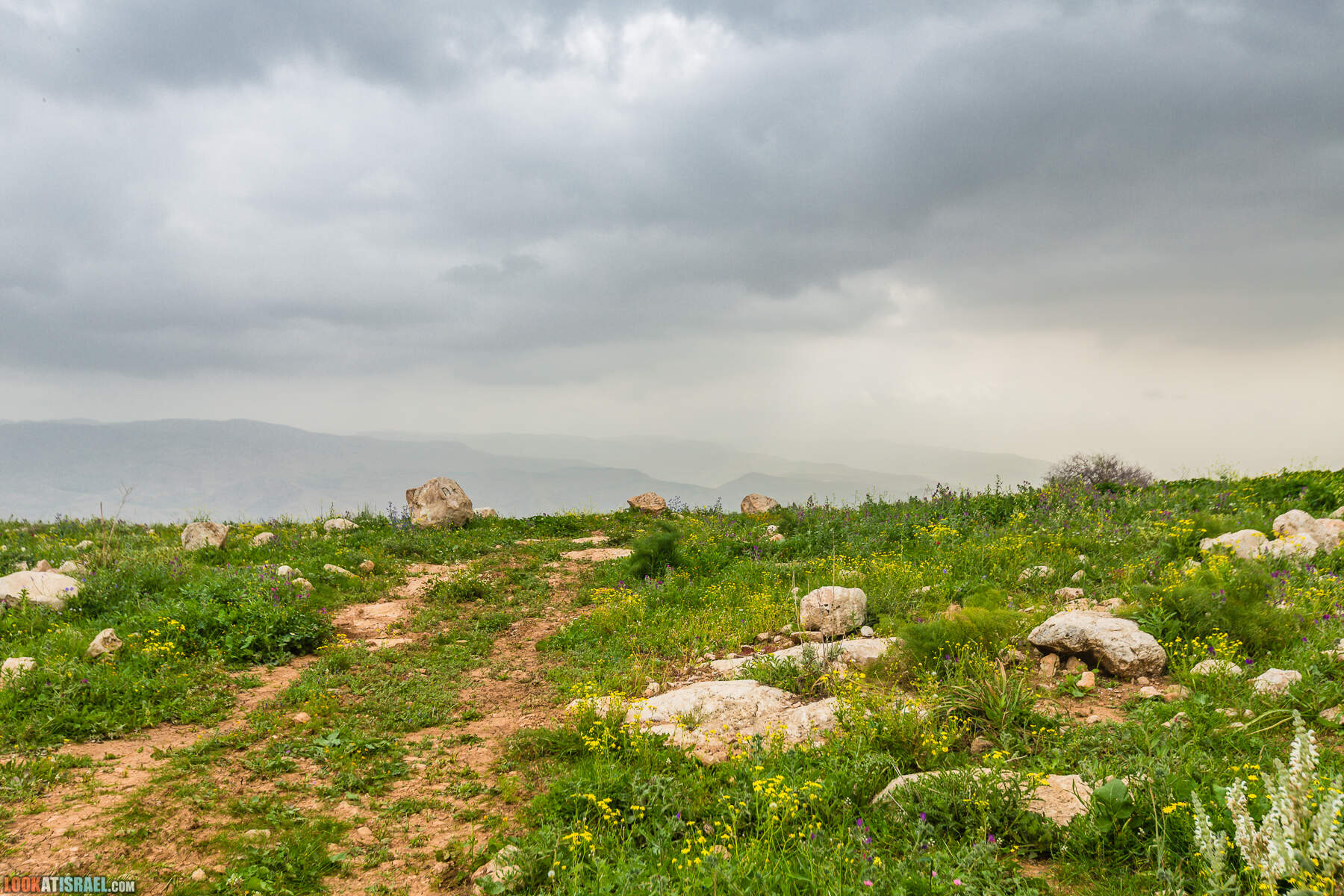 LookAtIsrael.com - Заповедник Ум Зука в Иорданской долине, Израиль | Um Zuka Reserve, Jordan valley, Israel | שמורת אום זוקה בבקעת ירדן