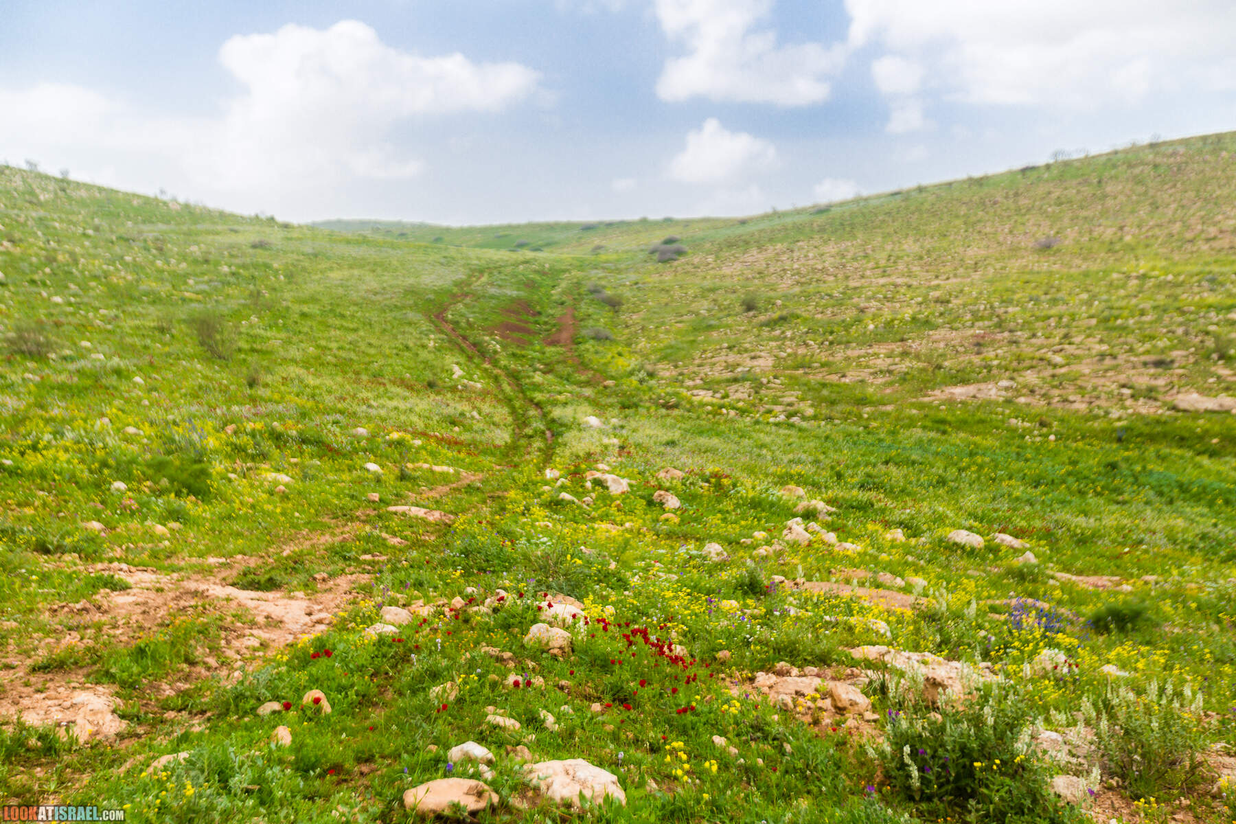 LookAtIsrael.com - Заповедник Ум Зука в Иорданской долине, Израиль | Um Zuka Reserve, Jordan valley, Israel | שמורת אום זוקה בבקעת ירדן