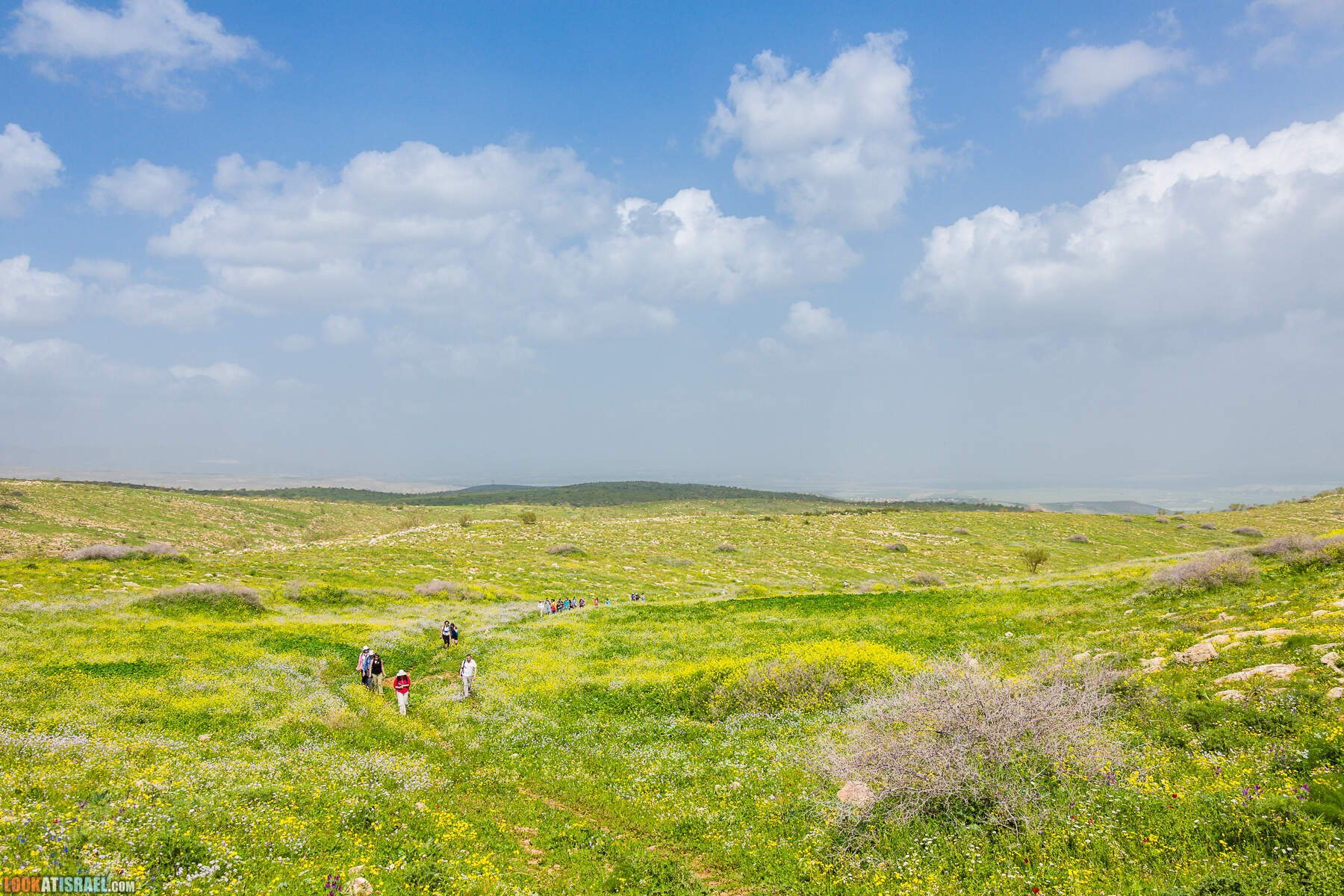 LookAtIsrael.com - Заповедник Ум Зука в Иорданской долине, Израиль | Um Zuka Reserve, Jordan valley, Israel | שמורת אום זוקה בבקעת ירדן