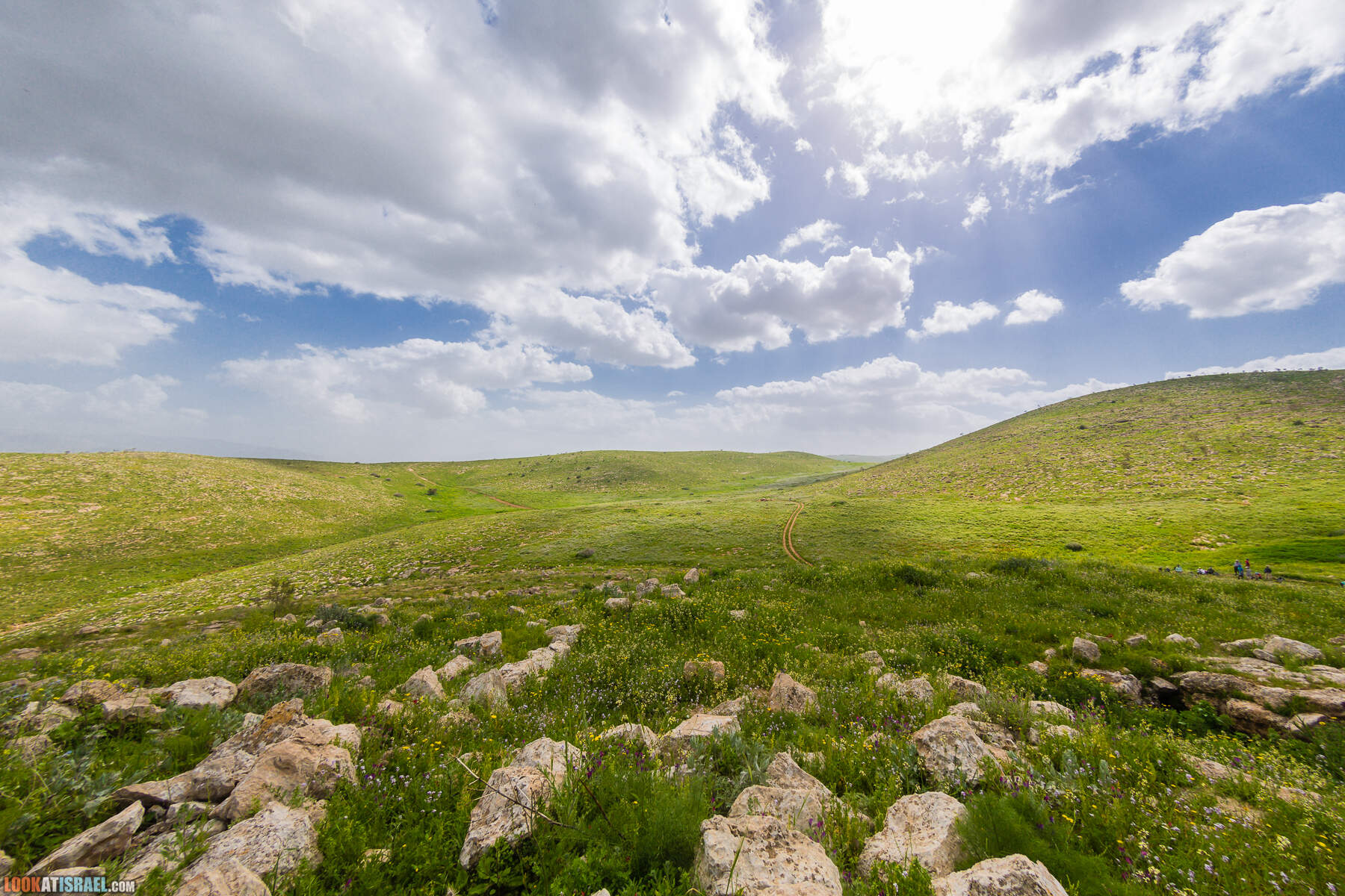 LookAtIsrael.com - Заповедник Ум Зука в Иорданской долине, Израиль | Um Zuka Reserve, Jordan valley, Israel | שמורת אום זוקה בבקעת ירדן