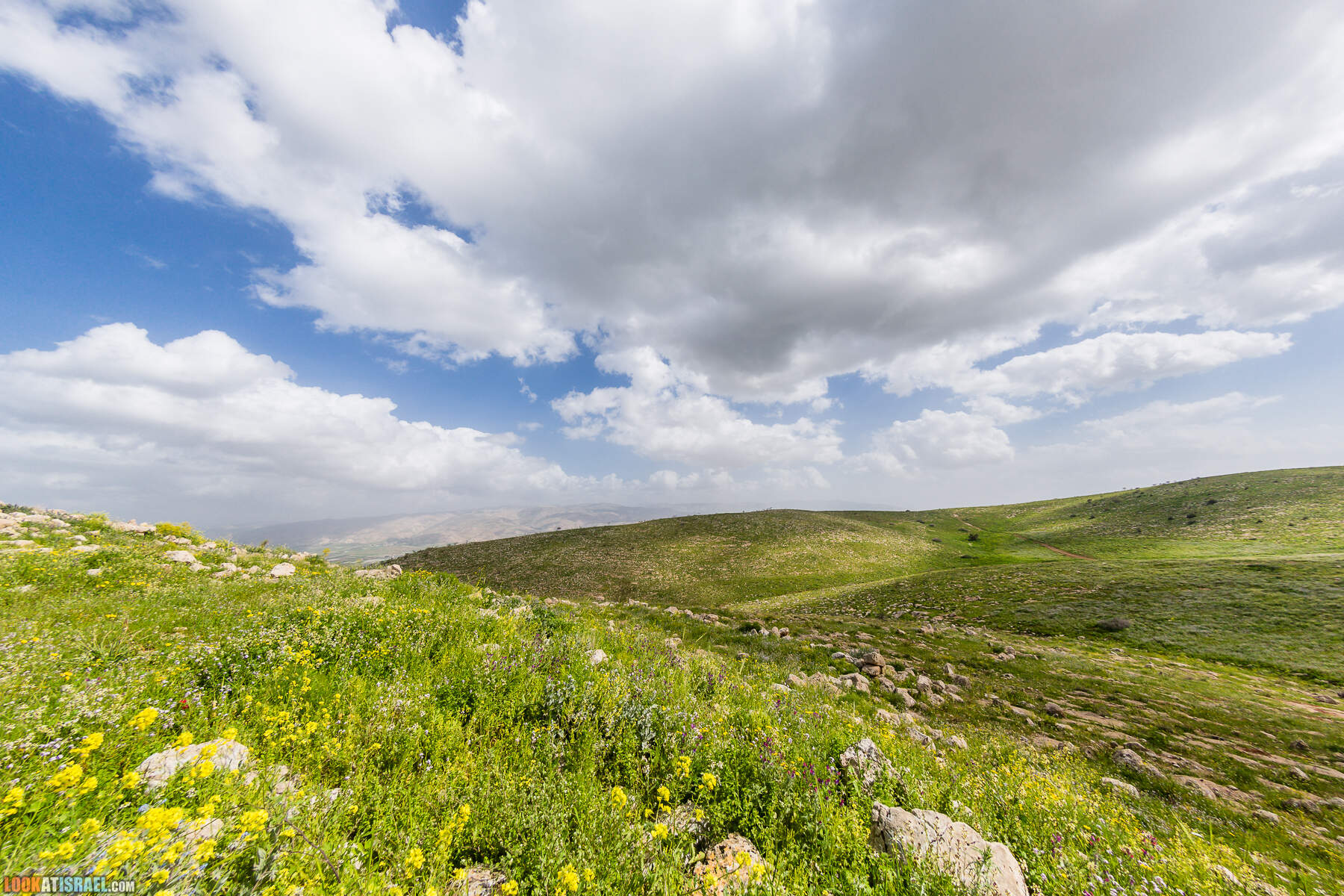 LookAtIsrael.com - Заповедник Ум Зука в Иорданской долине, Израиль | Um Zuka Reserve, Jordan valley, Israel | שמורת אום זוקה בבקעת ירדן