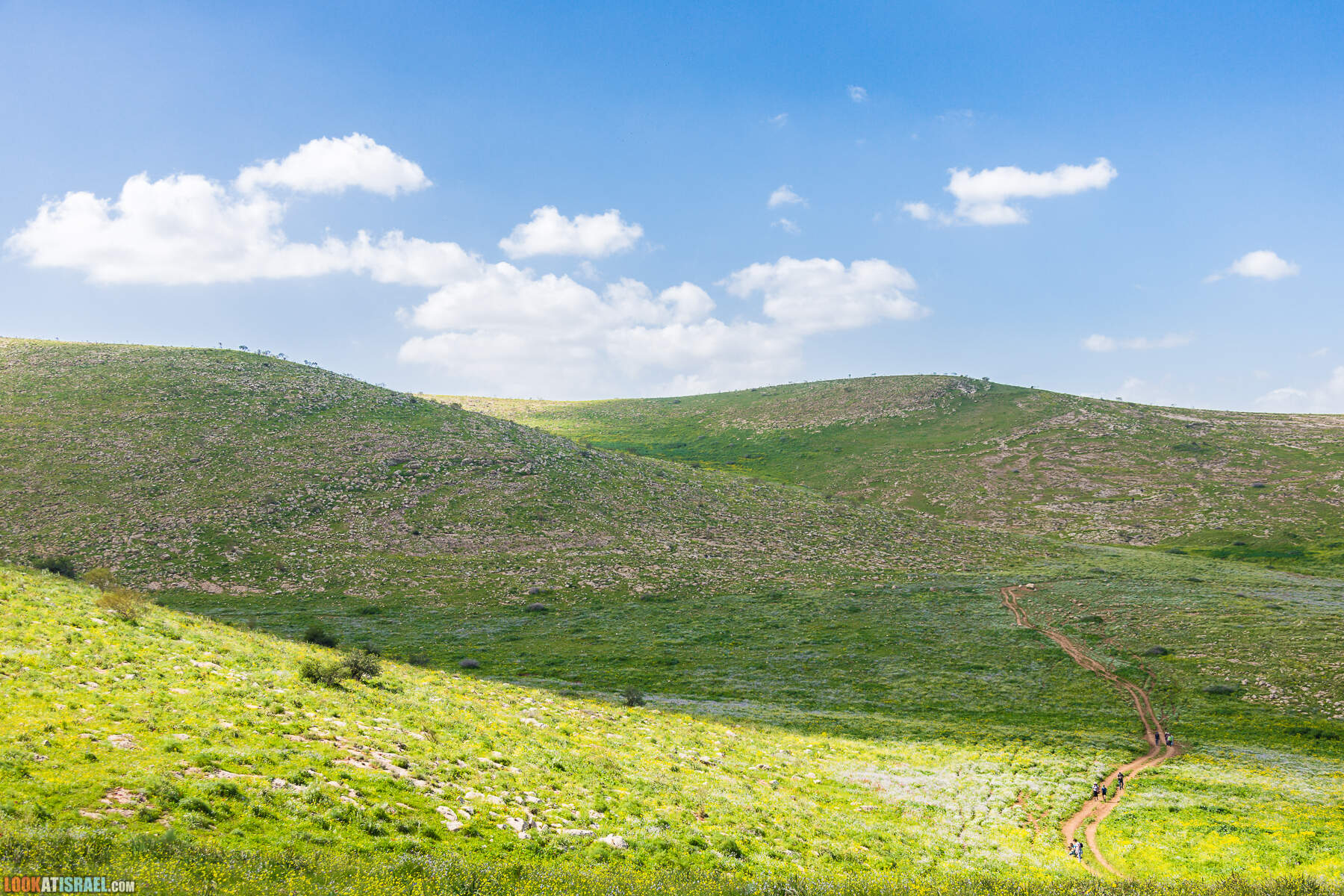 LookAtIsrael.com - Заповедник Ум Зука в Иорданской долине, Израиль | Um Zuka Reserve, Jordan valley, Israel | שמורת אום זוקה בבקעת ירדן