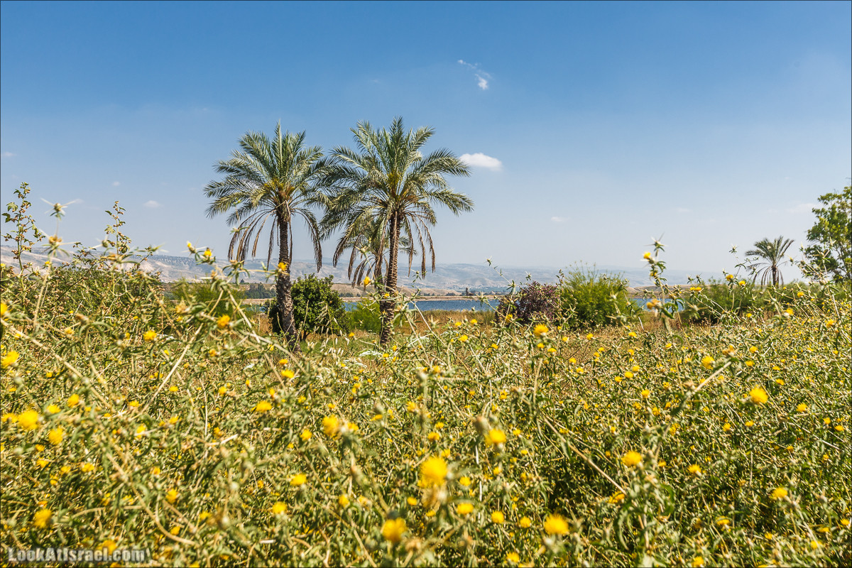 Здание британской полиции Гешер | Gesher police | משטרת גשר הישנה | LookAtIsrael.com - Фото путешествия по Израилю