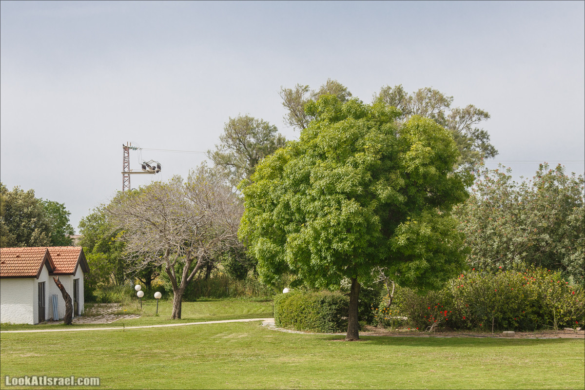 Христианский кибуц Нес Амим | LookAtIsrael.com - Фото путешествия по Израилю