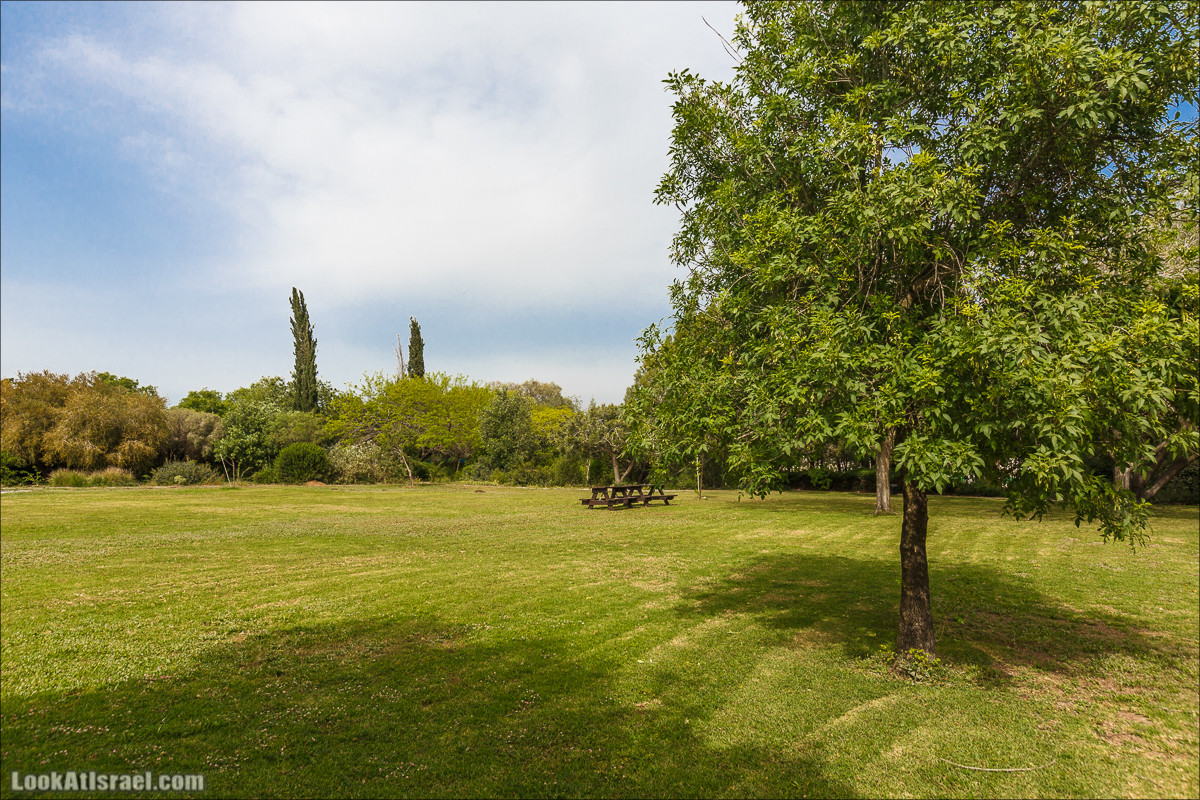 Христианский кибуц Нес Амим | LookAtIsrael.com - Фото путешествия по Израилю