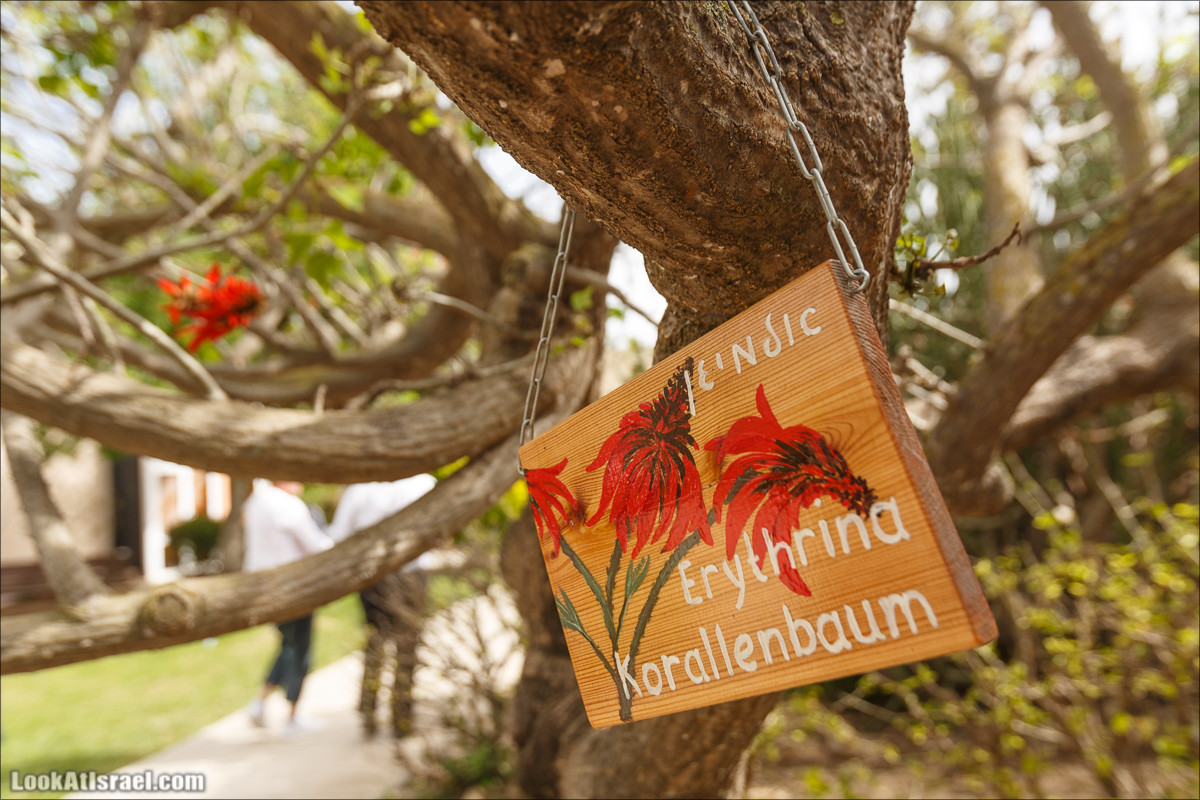 Христианский кибуц Нес Амим | LookAtIsrael.com - Фото путешествия по Израилю