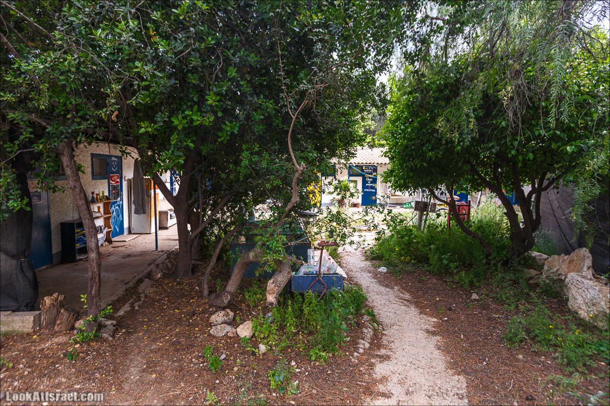 Христианский кибуц Нес Амим | LookAtIsrael.com - Фото путешествия по Израилю