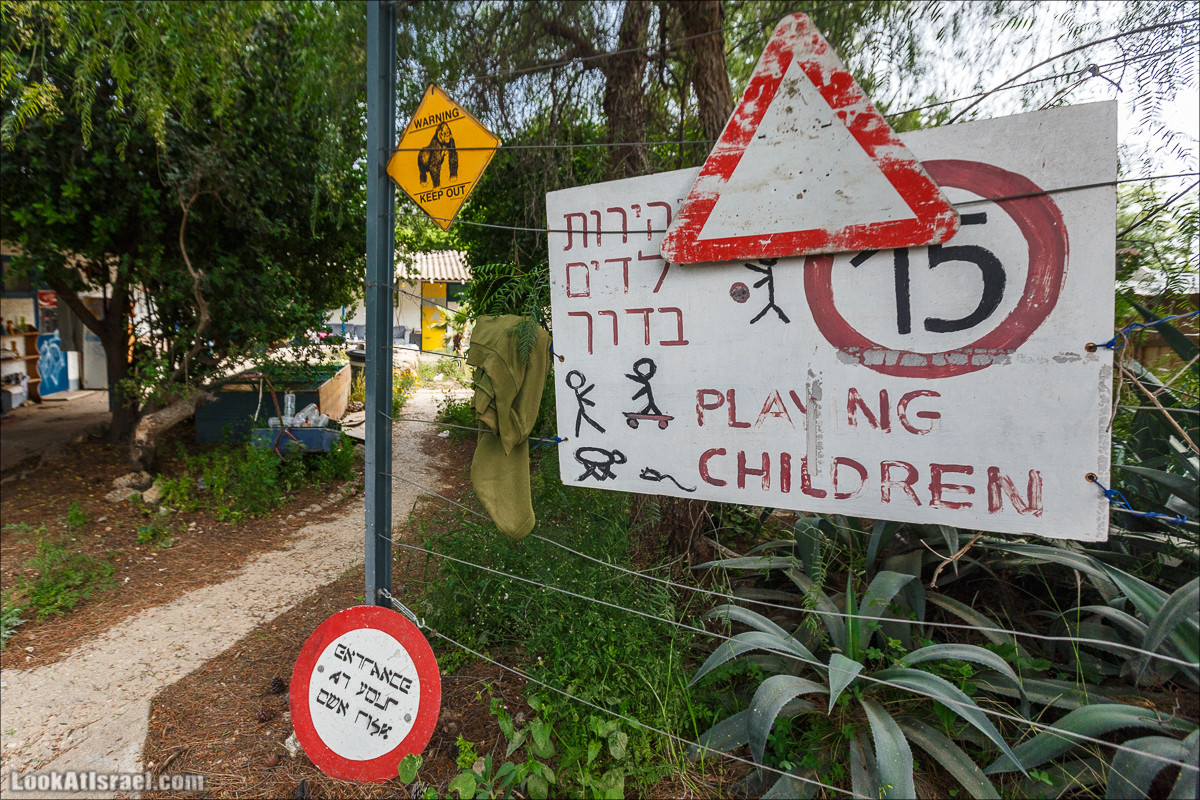 Христианский кибуц Нес Амим | LookAtIsrael.com - Фото путешествия по Израилю