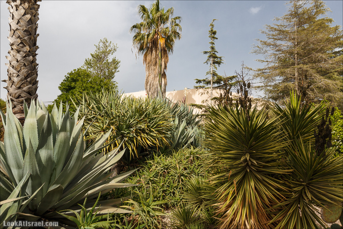 Христианский кибуц Нес Амим | LookAtIsrael.com - Фото путешествия по Израилю