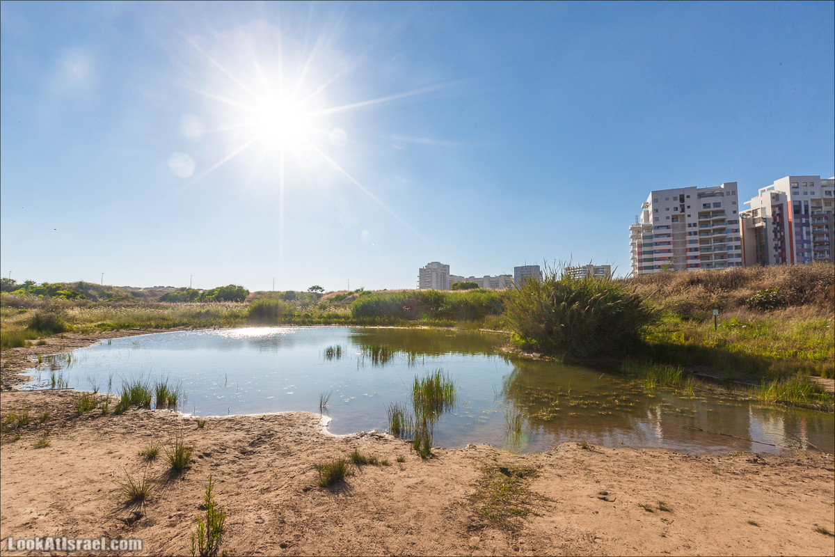 Зимнее тель-авивское озеро