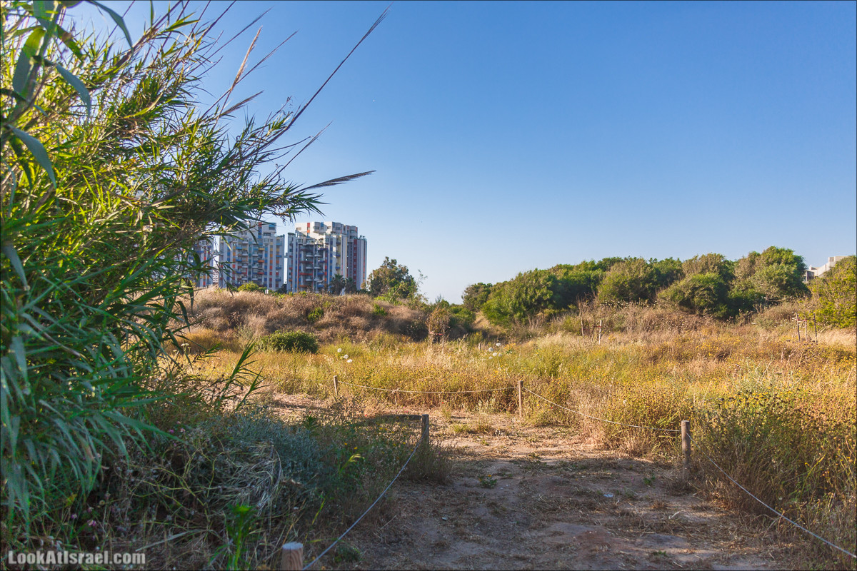 Озеро в Тель Авиве | LookAtIsrael.com - Фото путешествия по Израилю