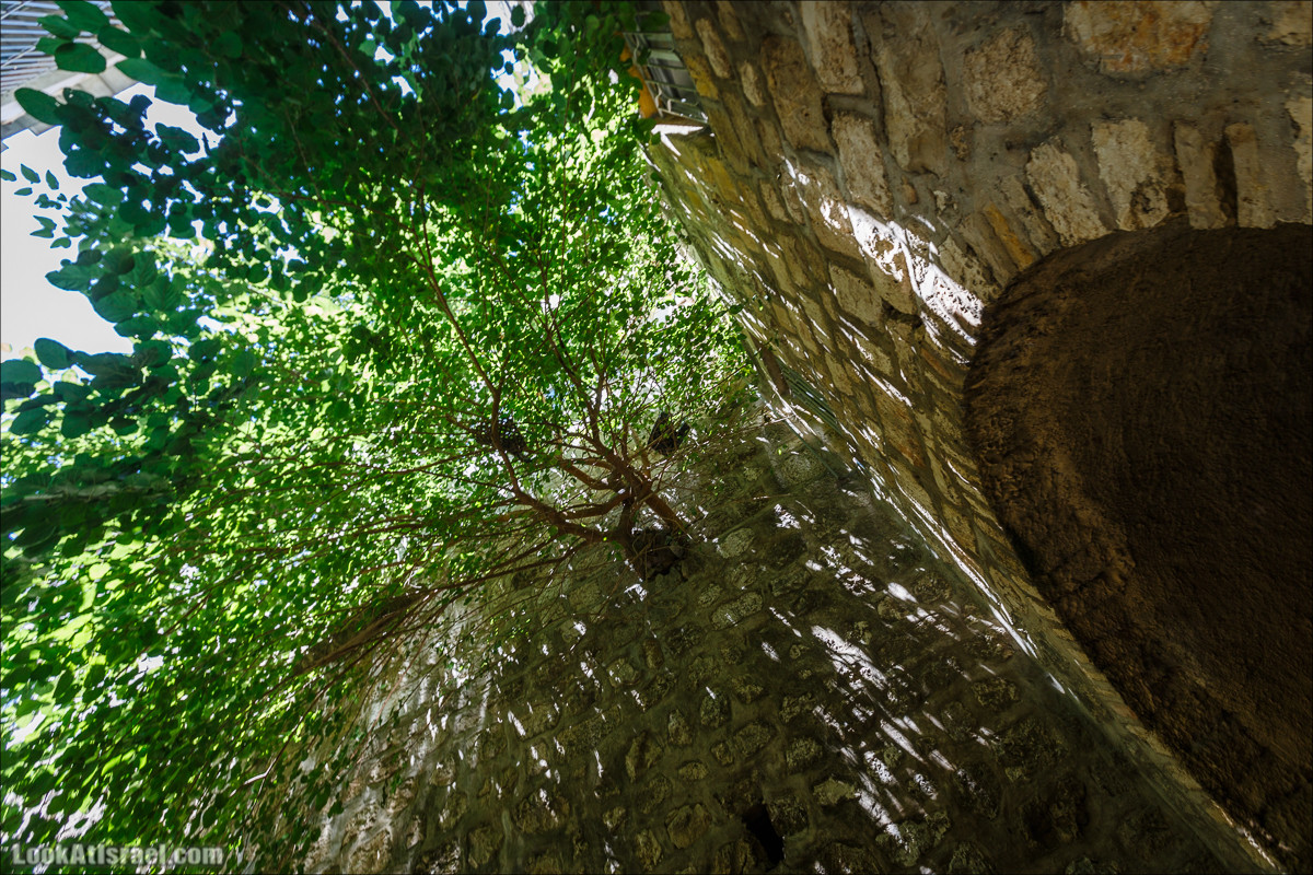 Город Давида в Иерусалиме| City of David | עיר דוד | LookAtIsrael.com - Фото путешествия по Израилю
