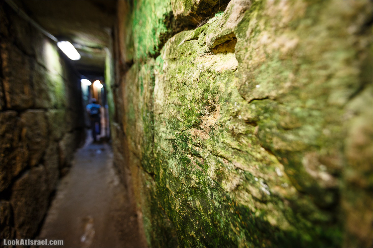 Город Давида в Иерусалиме| City of David | עיר דוד | LookAtIsrael.com - Фото путешествия по Израилю