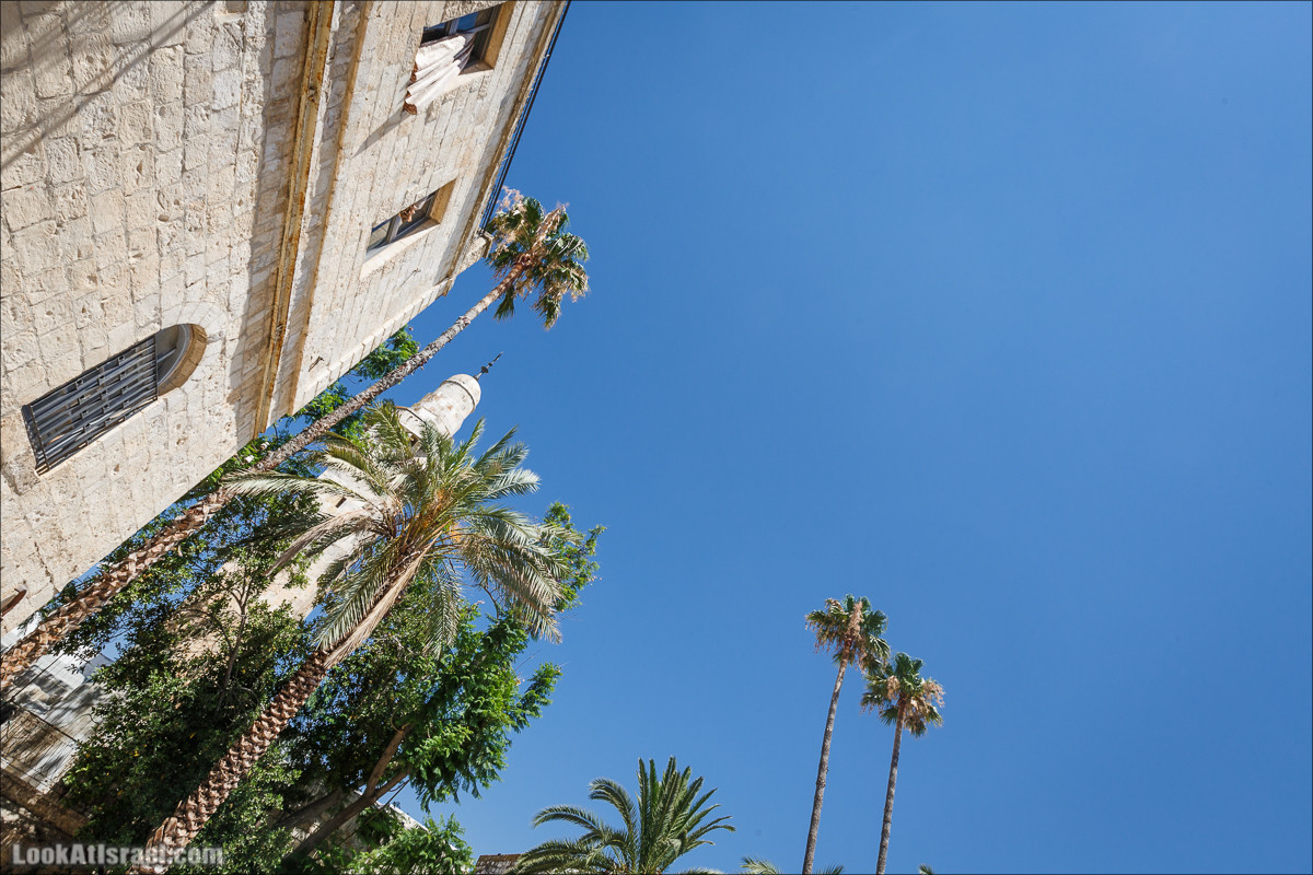 Город Давида в Иерусалиме| City of David | עיר דוד | LookAtIsrael.com - Фото путешествия по Израилю