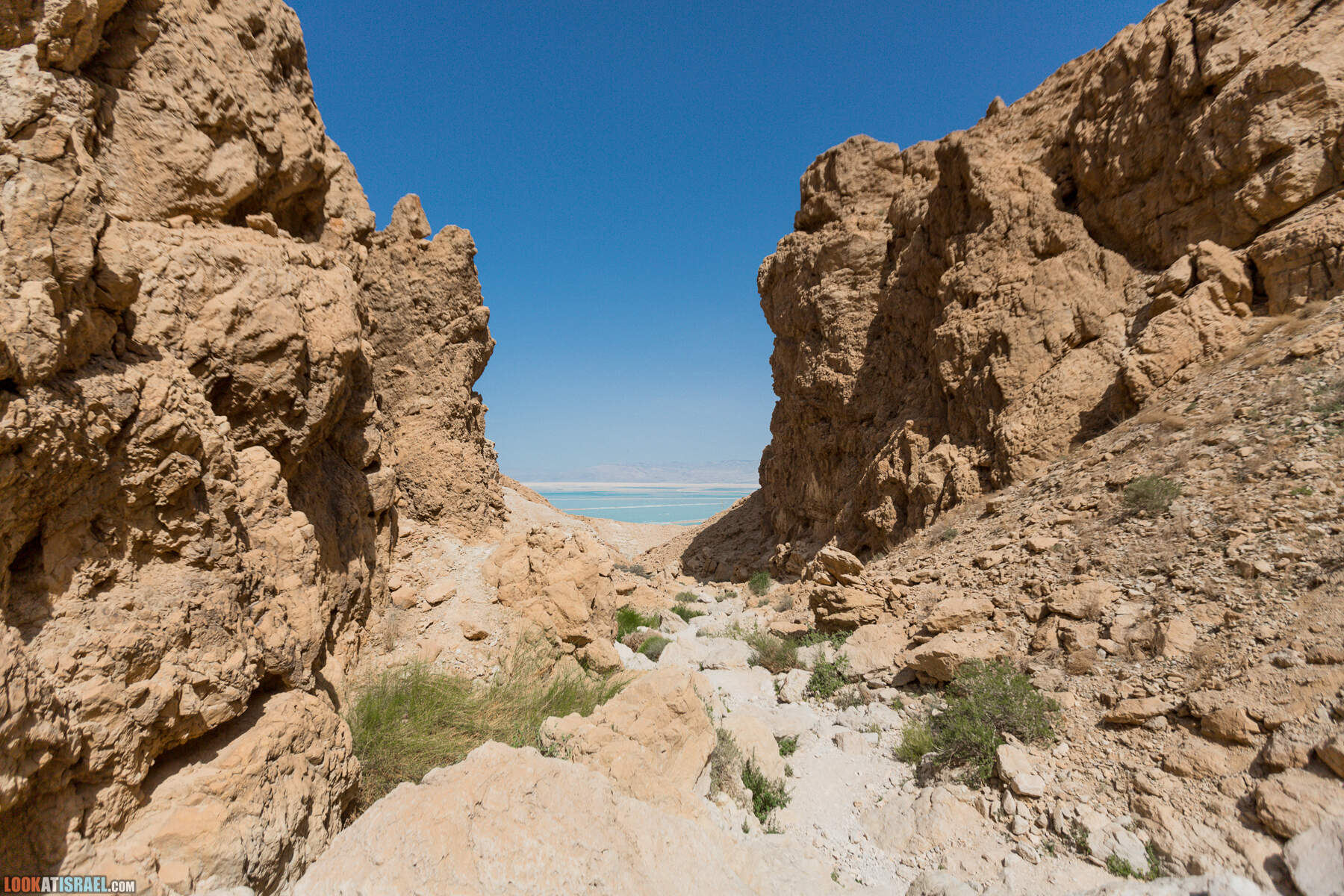 Крепость Зоар, Нахаль Ром и нахаль Израх | Zohar Fortress, Nahal Rom, Wadi Izrah | מצעד זוהר נחל רום ואדי יזרח