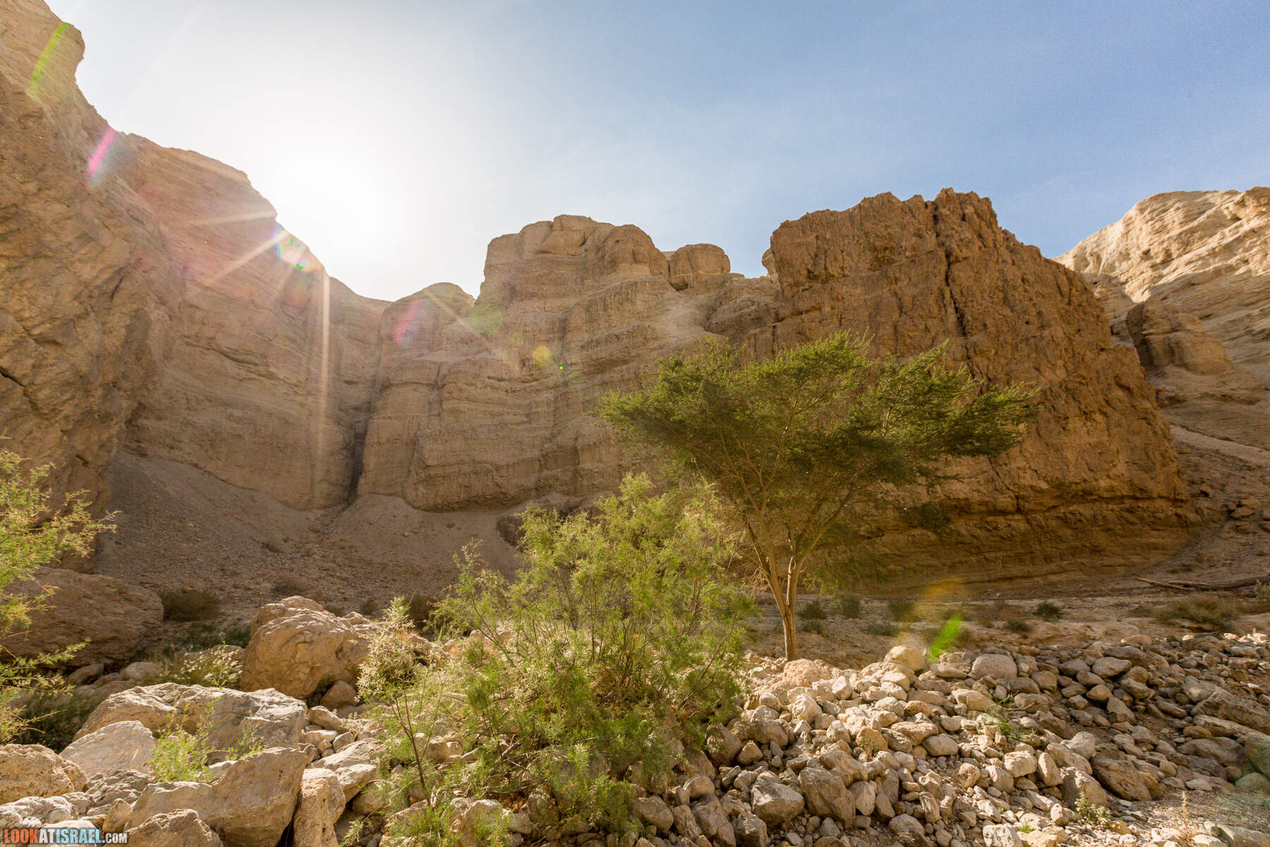 Крепость Зоар, Нахаль Ром и нахаль Израх | Zohar Fortress, Nahal Rom, Wadi Izrah | מצעד זוהר נחל רום ואדי יזרח | LookAtIsrael.com - Фото путешествия по Израилю|Крепость Зоар, Нахаль Ром и нахаль Израх | Zohar Fortress, Nahal Rom, Wadi Izrah | מצעד זוהר נחל רום ואדי יזרח | LookAtIsrael.com - Фото путешествия по Израилю|Крепость Зоар, Нахаль Ром и нахаль Израх | Zohar Fortress, Nahal Rom, Wadi Izrah | מצעד זוהר נחל רום ואדי יזרח | LookAtIsrael.com - Фото путешествия по Израилю|Крепость Зоар, Нахаль Ром и нахаль Израх | Zohar Fortress, Nahal Rom, Wadi Izrah | מצעד זוהר נחל רום ואדי יזרח | LookAtIsrael.com - Фото путешествия по Израилю