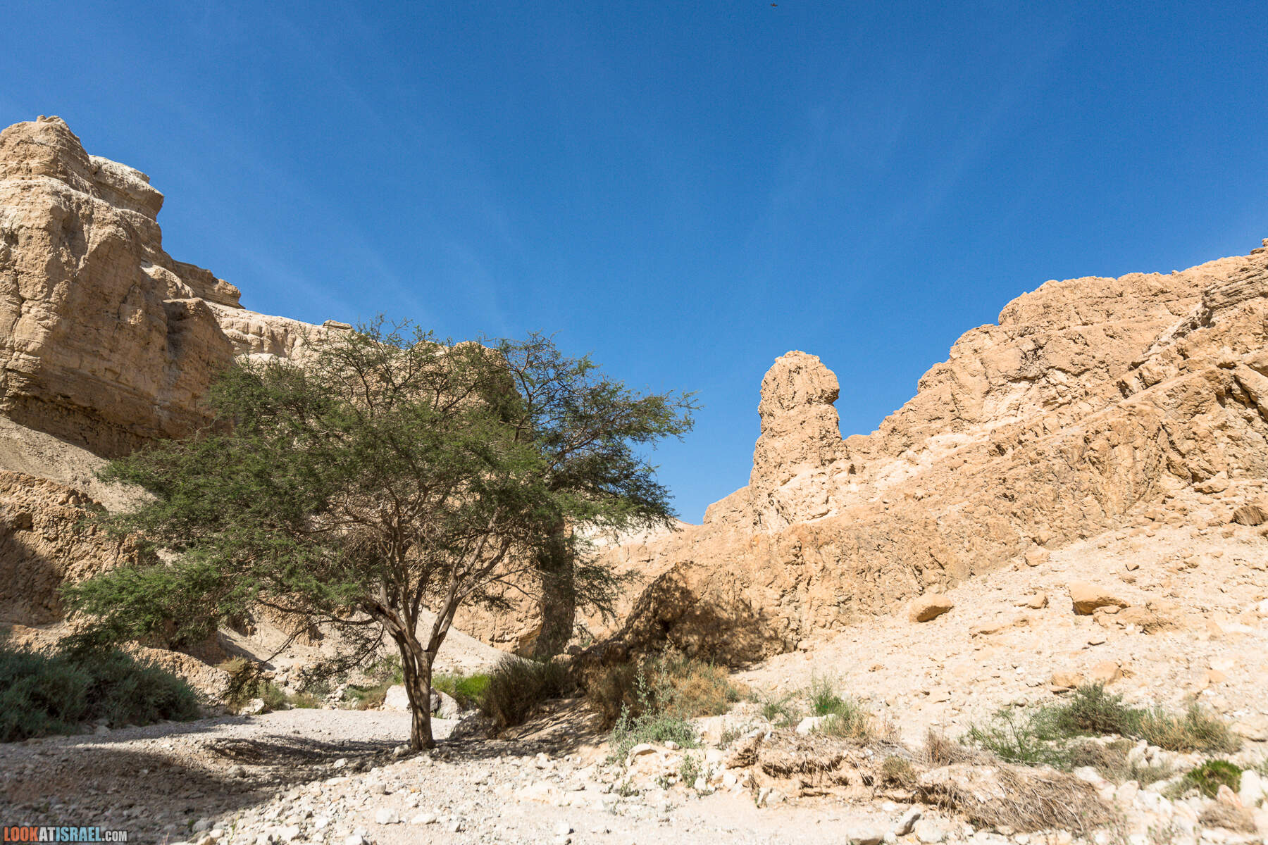 Крепость Зоар, Нахаль Ром и нахаль Израх | Zohar Fortress, Nahal Rom, Wadi Izrah | מצעד זוהר נחל רום ואדי יזרח | LookAtIsrael.com - Фото путешествия по Израилю|Крепость Зоар, Нахаль Ром и нахаль Израх | Zohar Fortress, Nahal Rom, Wadi Izrah | מצעד זוהר נחל רום ואדי יזרח | LookAtIsrael.com - Фото путешествия по Израилю|Крепость Зоар, Нахаль Ром и нахаль Израх | Zohar Fortress, Nahal Rom, Wadi Izrah | מצעד זוהר נחל רום ואדי יזרח | LookAtIsrael.com - Фото путешествия по Израилю|Крепость Зоар, Нахаль Ром и нахаль Израх | Zohar Fortress, Nahal Rom, Wadi Izrah | מצעד זוהר נחל רום ואדי יזרח | LookAtIsrael.com - Фото путешествия по Израилю