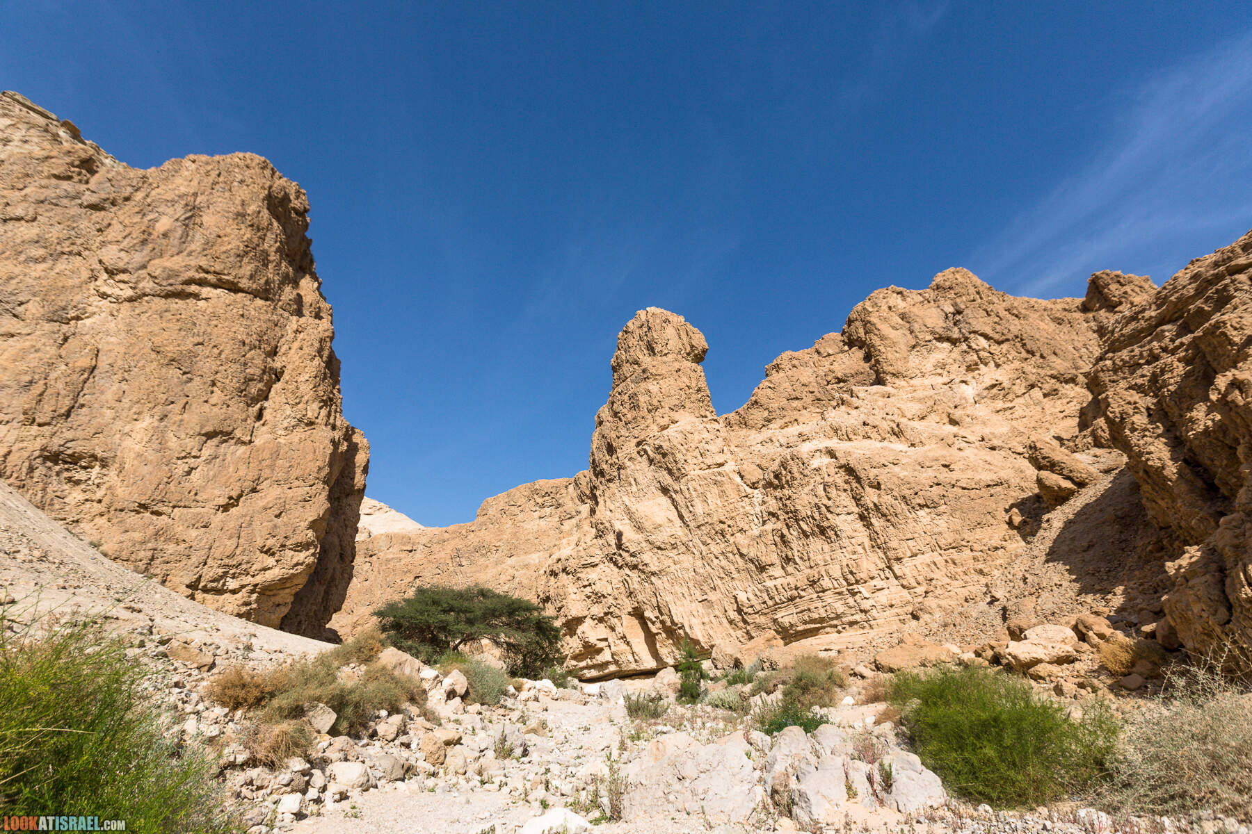 Крепость Зоар, Нахаль Ром и нахаль Израх | Zohar Fortress, Nahal Rom, Wadi Izrah | מצעד זוהר נחל רום ואדי יזרח | LookAtIsrael.com - Фото путешествия по Израилю|Крепость Зоар, Нахаль Ром и нахаль Израх | Zohar Fortress, Nahal Rom, Wadi Izrah | מצעד זוהר נחל רום ואדי יזרח | LookAtIsrael.com - Фото путешествия по Израилю|Крепость Зоар, Нахаль Ром и нахаль Израх | Zohar Fortress, Nahal Rom, Wadi Izrah | מצעד זוהר נחל רום ואדי יזרח | LookAtIsrael.com - Фото путешествия по Израилю|Крепость Зоар, Нахаль Ром и нахаль Израх | Zohar Fortress, Nahal Rom, Wadi Izrah | מצעד זוהר נחל רום ואדי יזרח | LookAtIsrael.com - Фото путешествия по Израилю