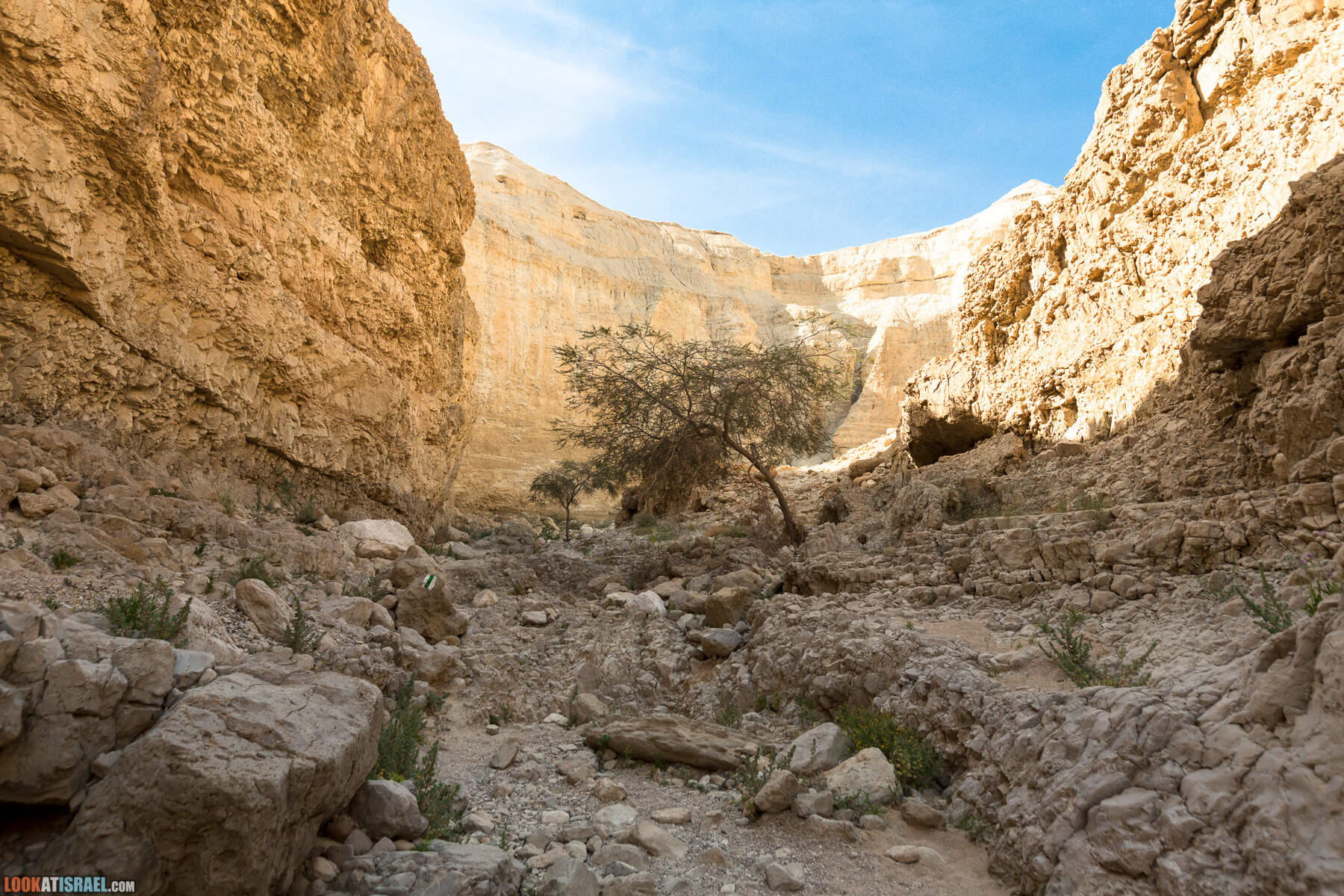 Крепость Зоар, Нахаль Ром и нахаль Израх | Zohar Fortress, Nahal Rom, Wadi Izrah | מצעד זוהר נחל רום ואדי יזרח | LookAtIsrael.com - Фото путешествия по Израилю|Крепость Зоар, Нахаль Ром и нахаль Израх | Zohar Fortress, Nahal Rom, Wadi Izrah | מצעד זוהר נחל רום ואדי יזרח | LookAtIsrael.com - Фото путешествия по Израилю|Крепость Зоар, Нахаль Ром и нахаль Израх | Zohar Fortress, Nahal Rom, Wadi Izrah | מצעד זוהר נחל רום ואדי יזרח | LookAtIsrael.com - Фото путешествия по Израилю|Крепость Зоар, Нахаль Ром и нахаль Израх | Zohar Fortress, Nahal Rom, Wadi Izrah | מצעד זוהר נחל רום ואדי יזרח | LookAtIsrael.com - Фото путешествия по Израилю