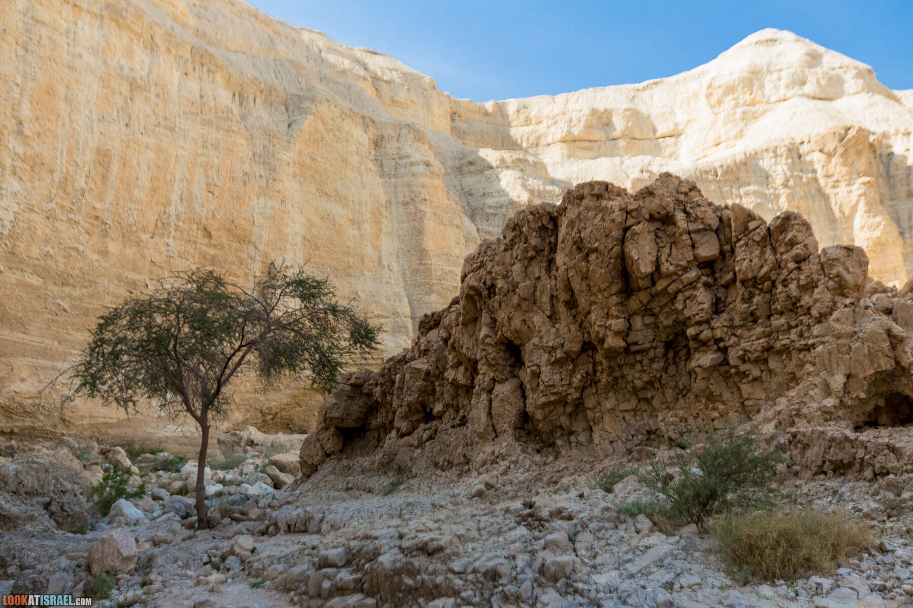 Крепость Зоар, Нахаль Ром и нахаль Израх | Zohar Fortress, Nahal Rom, Wadi Izrah | מצעד זוהר נחל רום ואדי יזרח | LookAtIsrael.com - Фото путешествия по Израилю|Крепость Зоар, Нахаль Ром и нахаль Израх | Zohar Fortress, Nahal Rom, Wadi Izrah | מצעד זוהר נחל רום ואדי יזרח | LookAtIsrael.com - Фото путешествия по Израилю|Крепость Зоар, Нахаль Ром и нахаль Израх | Zohar Fortress, Nahal Rom, Wadi Izrah | מצעד זוהר נחל רום ואדי יזרח | LookAtIsrael.com - Фото путешествия по Израилю|Крепость Зоар, Нахаль Ром и нахаль Израх | Zohar Fortress, Nahal Rom, Wadi Izrah | מצעד זוהר נחל רום ואדי יזרח | LookAtIsrael.com - Фото путешествия по Израилю