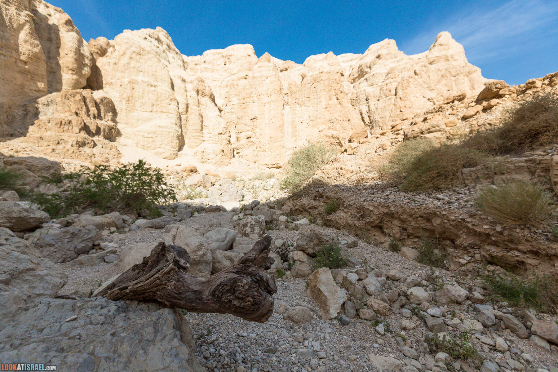 Крепость Зоар, Нахаль Ром и нахаль Израх | Zohar Fortress, Nahal Rom, Wadi Izrah | מצעד זוהר נחל רום ואדי יזרח | LookAtIsrael.com - Фото путешествия по Израилю|Крепость Зоар, Нахаль Ром и нахаль Израх | Zohar Fortress, Nahal Rom, Wadi Izrah | מצעד זוהר נחל רום ואדי יזרח | LookAtIsrael.com - Фото путешествия по Израилю|Крепость Зоар, Нахаль Ром и нахаль Израх | Zohar Fortress, Nahal Rom, Wadi Izrah | מצעד זוהר נחל רום ואדי יזרח | LookAtIsrael.com - Фото путешествия по Израилю|Крепость Зоар, Нахаль Ром и нахаль Израх | Zohar Fortress, Nahal Rom, Wadi Izrah | מצעד זוהר נחל רום ואדי יזרח | LookAtIsrael.com - Фото путешествия по Израилю