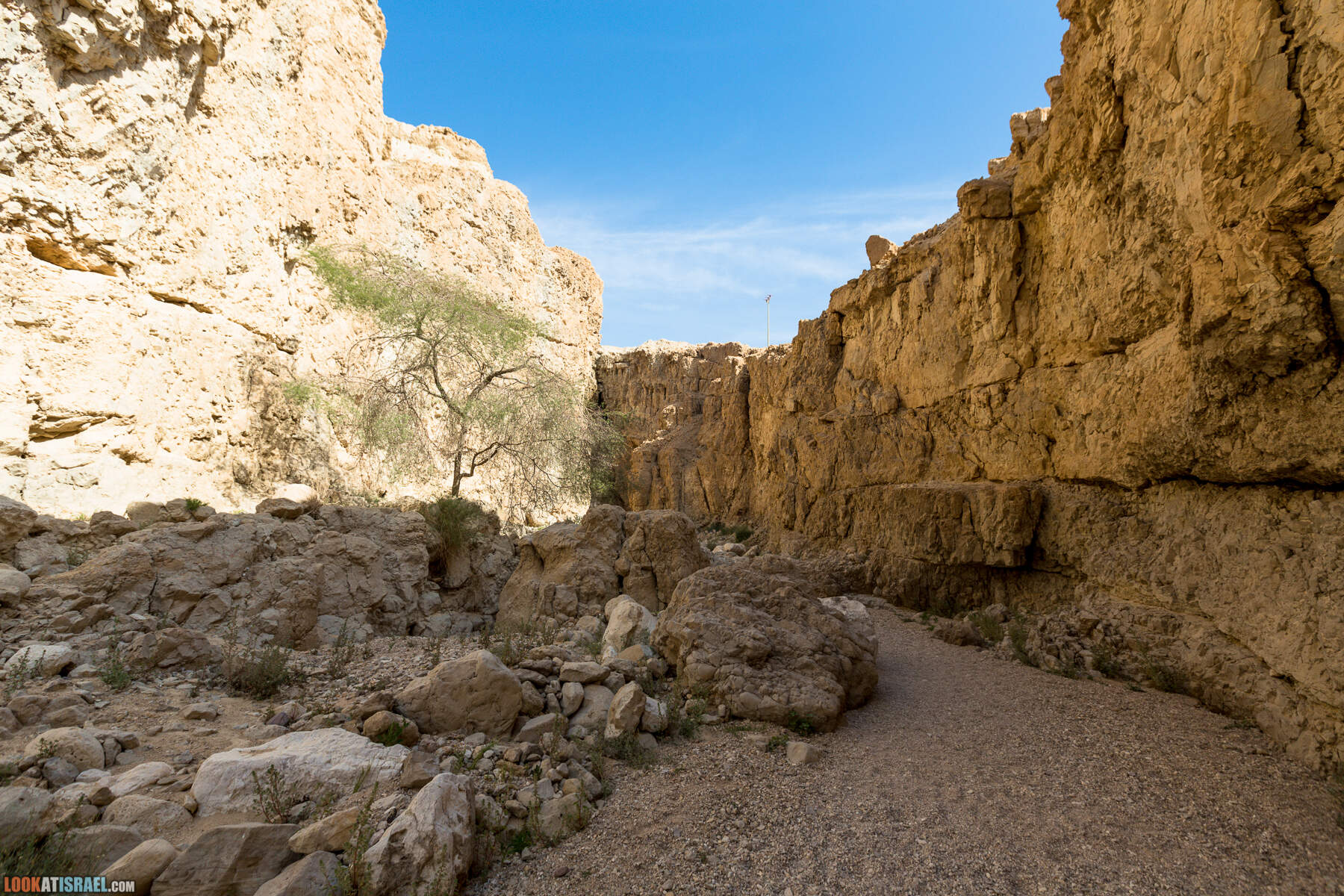 Крепость Зоар, Нахаль Ром и нахаль Израх | Zohar Fortress, Nahal Rom, Wadi Izrah | מצעד זוהר נחל רום ואדי יזרח | LookAtIsrael.com - Фото путешествия по Израилю|Крепость Зоар, Нахаль Ром и нахаль Израх | Zohar Fortress, Nahal Rom, Wadi Izrah | מצעד זוהר נחל רום ואדי יזרח | LookAtIsrael.com - Фото путешествия по Израилю|Крепость Зоар, Нахаль Ром и нахаль Израх | Zohar Fortress, Nahal Rom, Wadi Izrah | מצעד זוהר נחל רום ואדי יזרח | LookAtIsrael.com - Фото путешествия по Израилю|Крепость Зоар, Нахаль Ром и нахаль Израх | Zohar Fortress, Nahal Rom, Wadi Izrah | מצעד זוהר נחל רום ואדי יזרח | LookAtIsrael.com - Фото путешествия по Израилю