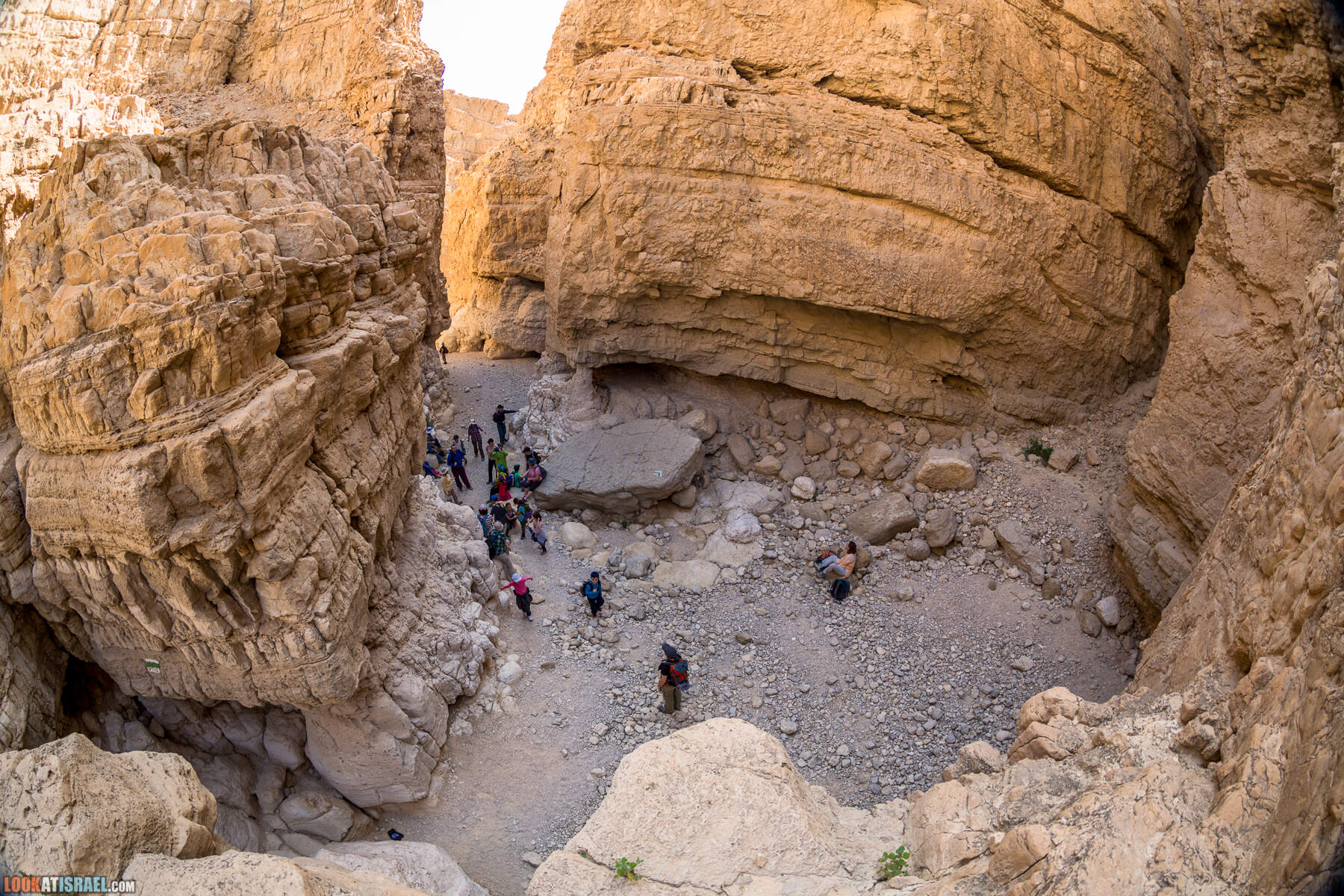 Крепость Зоар, Нахаль Ром и нахаль Израх | Zohar Fortress, Nahal Rom, Wadi Izrah | מצעד זוהר נחל רום ואדי יזרח | LookAtIsrael.com - Фото путешествия по Израилю|Крепость Зоар, Нахаль Ром и нахаль Израх | Zohar Fortress, Nahal Rom, Wadi Izrah | מצעד זוהר נחל רום ואדי יזרח | LookAtIsrael.com - Фото путешествия по Израилю|Крепость Зоар, Нахаль Ром и нахаль Израх | Zohar Fortress, Nahal Rom, Wadi Izrah | מצעד זוהר נחל רום ואדי יזרח | LookAtIsrael.com - Фото путешествия по Израилю|Крепость Зоар, Нахаль Ром и нахаль Израх | Zohar Fortress, Nahal Rom, Wadi Izrah | מצעד זוהר נחל רום ואדי יזרח | LookAtIsrael.com - Фото путешествия по Израилю