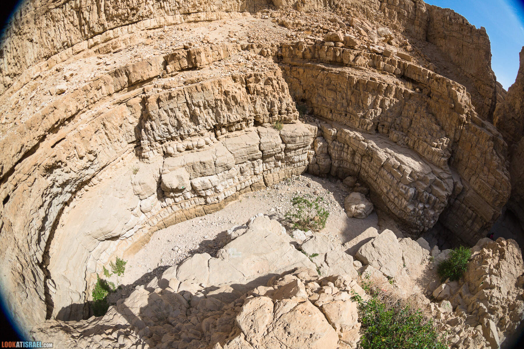 Крепость Зоар, Нахаль Ром и нахаль Израх | Zohar Fortress, Nahal Rom, Wadi Izrah | מצעד זוהר נחל רום ואדי יזרח | LookAtIsrael.com - Фото путешествия по Израилю|Крепость Зоар, Нахаль Ром и нахаль Израх | Zohar Fortress, Nahal Rom, Wadi Izrah | מצעד זוהר נחל רום ואדי יזרח | LookAtIsrael.com - Фото путешествия по Израилю|Крепость Зоар, Нахаль Ром и нахаль Израх | Zohar Fortress, Nahal Rom, Wadi Izrah | מצעד זוהר נחל רום ואדי יזרח | LookAtIsrael.com - Фото путешествия по Израилю|Крепость Зоар, Нахаль Ром и нахаль Израх | Zohar Fortress, Nahal Rom, Wadi Izrah | מצעד זוהר נחל רום ואדי יזרח | LookAtIsrael.com - Фото путешествия по Израилю