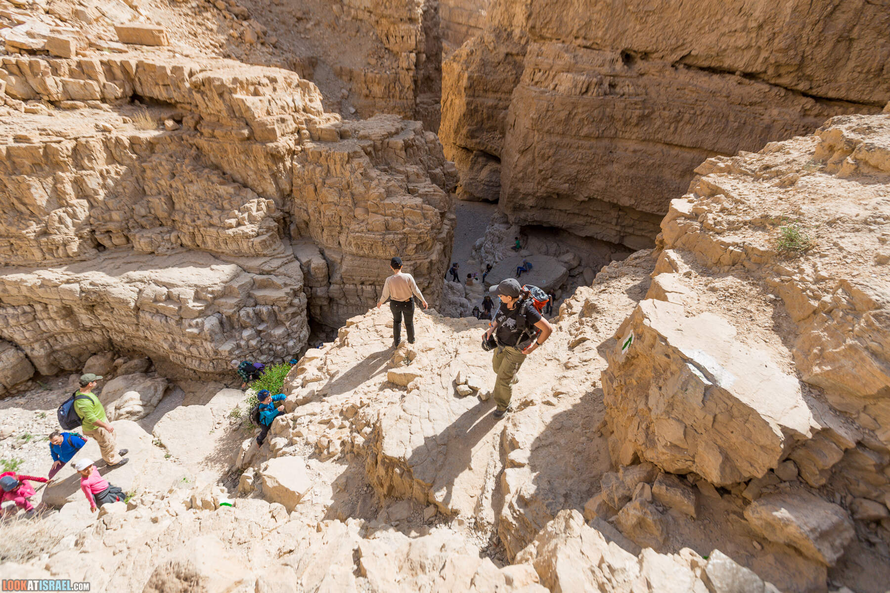 Крепость Зоар, Нахаль Ром и нахаль Израх | Zohar Fortress, Nahal Rom, Wadi Izrah | מצעד זוהר נחל רום ואדי יזרח | LookAtIsrael.com - Фото путешествия по Израилю|Крепость Зоар, Нахаль Ром и нахаль Израх | Zohar Fortress, Nahal Rom, Wadi Izrah | מצעד זוהר נחל רום ואדי יזרח | LookAtIsrael.com - Фото путешествия по Израилю|Крепость Зоар, Нахаль Ром и нахаль Израх | Zohar Fortress, Nahal Rom, Wadi Izrah | מצעד זוהר נחל רום ואדי יזרח | LookAtIsrael.com - Фото путешествия по Израилю|Крепость Зоар, Нахаль Ром и нахаль Израх | Zohar Fortress, Nahal Rom, Wadi Izrah | מצעד זוהר נחל רום ואדי יזרח | LookAtIsrael.com - Фото путешествия по Израилю