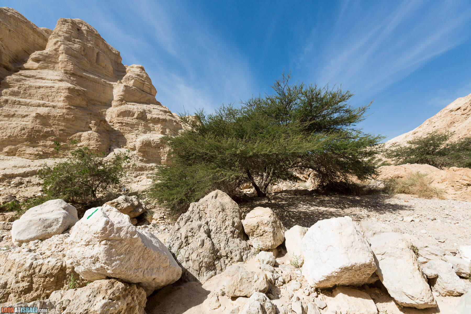 Крепость Зоар, Нахаль Ром и нахаль Израх | Zohar Fortress, Nahal Rom, Wadi Izrah | מצעד זוהר נחל רום ואדי יזרח | LookAtIsrael.com - Фото путешествия по Израилю|Крепость Зоар, Нахаль Ром и нахаль Израх | Zohar Fortress, Nahal Rom, Wadi Izrah | מצעד זוהר נחל רום ואדי יזרח | LookAtIsrael.com - Фото путешествия по Израилю|Крепость Зоар, Нахаль Ром и нахаль Израх | Zohar Fortress, Nahal Rom, Wadi Izrah | מצעד זוהר נחל רום ואדי יזרח | LookAtIsrael.com - Фото путешествия по Израилю|Крепость Зоар, Нахаль Ром и нахаль Израх | Zohar Fortress, Nahal Rom, Wadi Izrah | מצעד זוהר נחל רום ואדי יזרח | LookAtIsrael.com - Фото путешествия по Израилю