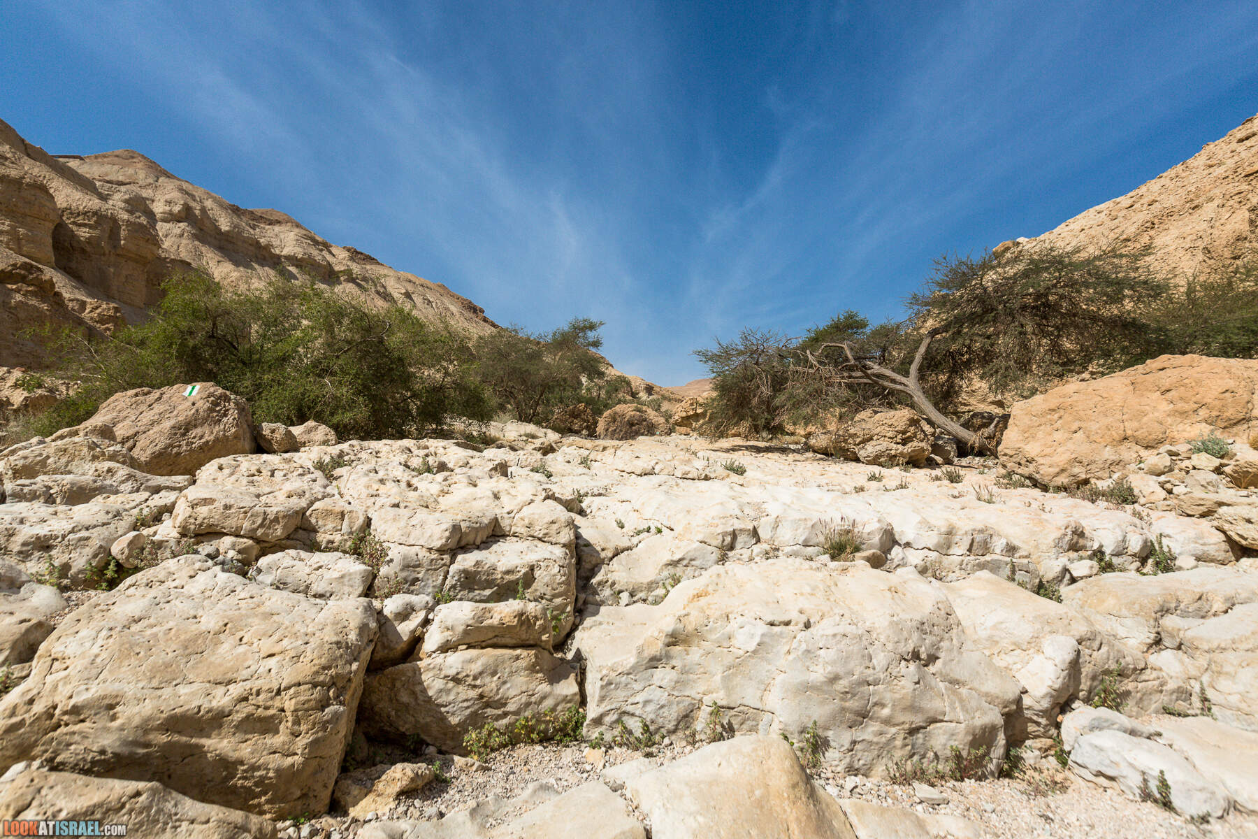 Крепость Зоар, Нахаль Ром и нахаль Израх | Zohar Fortress, Nahal Rom, Wadi Izrah | מצעד זוהר נחל רום ואדי יזרח | LookAtIsrael.com - Фото путешествия по Израилю|Крепость Зоар, Нахаль Ром и нахаль Израх | Zohar Fortress, Nahal Rom, Wadi Izrah | מצעד זוהר נחל רום ואדי יזרח | LookAtIsrael.com - Фото путешествия по Израилю|Крепость Зоар, Нахаль Ром и нахаль Израх | Zohar Fortress, Nahal Rom, Wadi Izrah | מצעד זוהר נחל רום ואדי יזרח | LookAtIsrael.com - Фото путешествия по Израилю|Крепость Зоар, Нахаль Ром и нахаль Израх | Zohar Fortress, Nahal Rom, Wadi Izrah | מצעד זוהר נחל רום ואדי יזרח | LookAtIsrael.com - Фото путешествия по Израилю