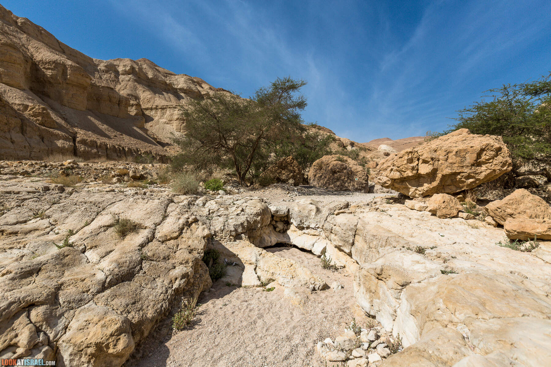 Крепость Зоар, Нахаль Ром и нахаль Израх | Zohar Fortress, Nahal Rom, Wadi Izrah | מצעד זוהר נחל רום ואדי יזרח | LookAtIsrael.com - Фото путешествия по Израилю|Крепость Зоар, Нахаль Ром и нахаль Израх | Zohar Fortress, Nahal Rom, Wadi Izrah | מצעד זוהר נחל רום ואדי יזרח | LookAtIsrael.com - Фото путешествия по Израилю|Крепость Зоар, Нахаль Ром и нахаль Израх | Zohar Fortress, Nahal Rom, Wadi Izrah | מצעד זוהר נחל רום ואדי יזרח | LookAtIsrael.com - Фото путешествия по Израилю|Крепость Зоар, Нахаль Ром и нахаль Израх | Zohar Fortress, Nahal Rom, Wadi Izrah | מצעד זוהר נחל רום ואדי יזרח | LookAtIsrael.com - Фото путешествия по Израилю