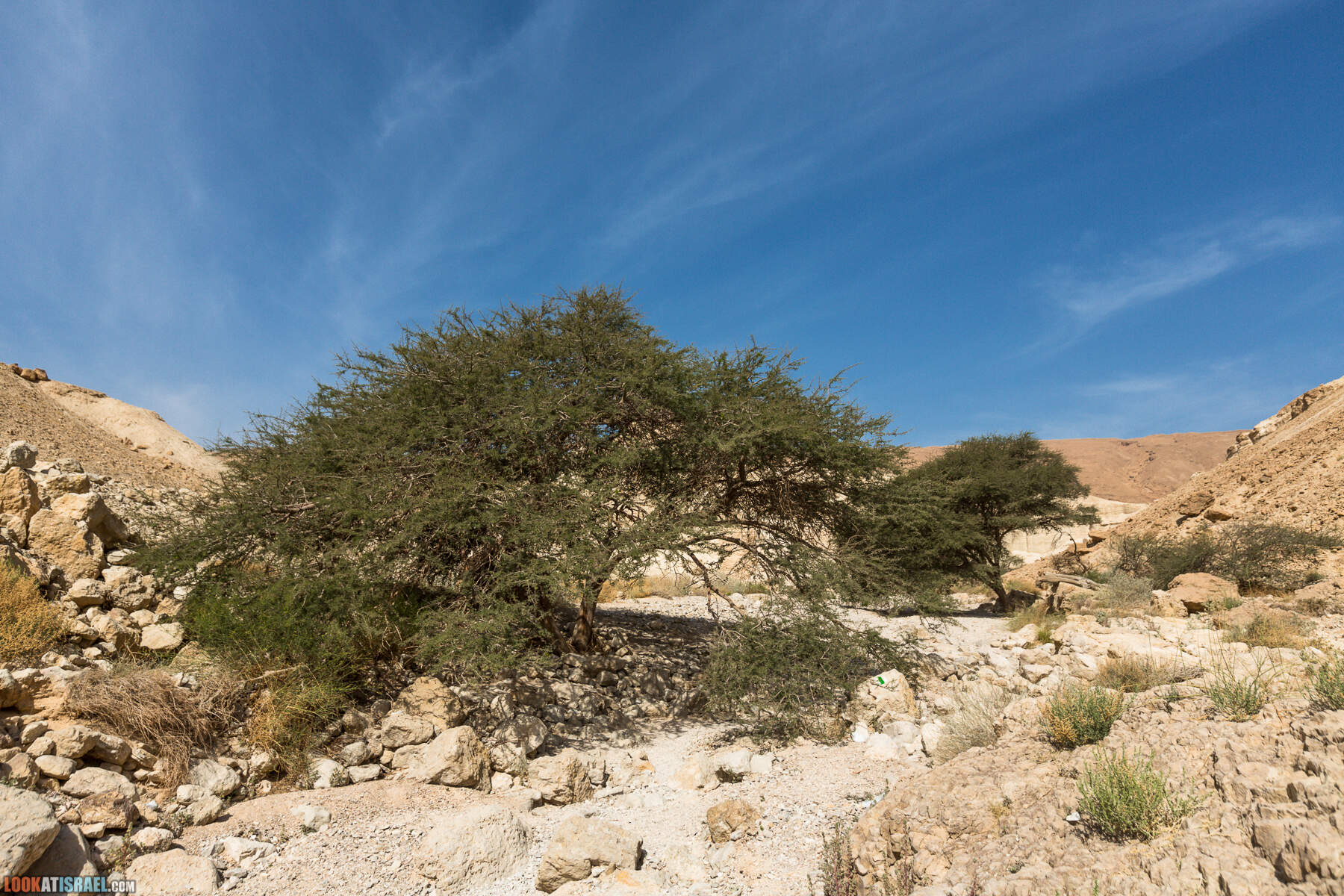 Крепость Зоар, Нахаль Ром и нахаль Израх | Zohar Fortress, Nahal Rom, Wadi Izrah | מצעד זוהר נחל רום ואדי יזרח | LookAtIsrael.com - Фото путешествия по Израилю|Крепость Зоар, Нахаль Ром и нахаль Израх | Zohar Fortress, Nahal Rom, Wadi Izrah | מצעד זוהר נחל רום ואדי יזרח | LookAtIsrael.com - Фото путешествия по Израилю|Крепость Зоар, Нахаль Ром и нахаль Израх | Zohar Fortress, Nahal Rom, Wadi Izrah | מצעד זוהר נחל רום ואדי יזרח | LookAtIsrael.com - Фото путешествия по Израилю|Крепость Зоар, Нахаль Ром и нахаль Израх | Zohar Fortress, Nahal Rom, Wadi Izrah | מצעד זוהר נחל רום ואדי יזרח | LookAtIsrael.com - Фото путешествия по Израилю