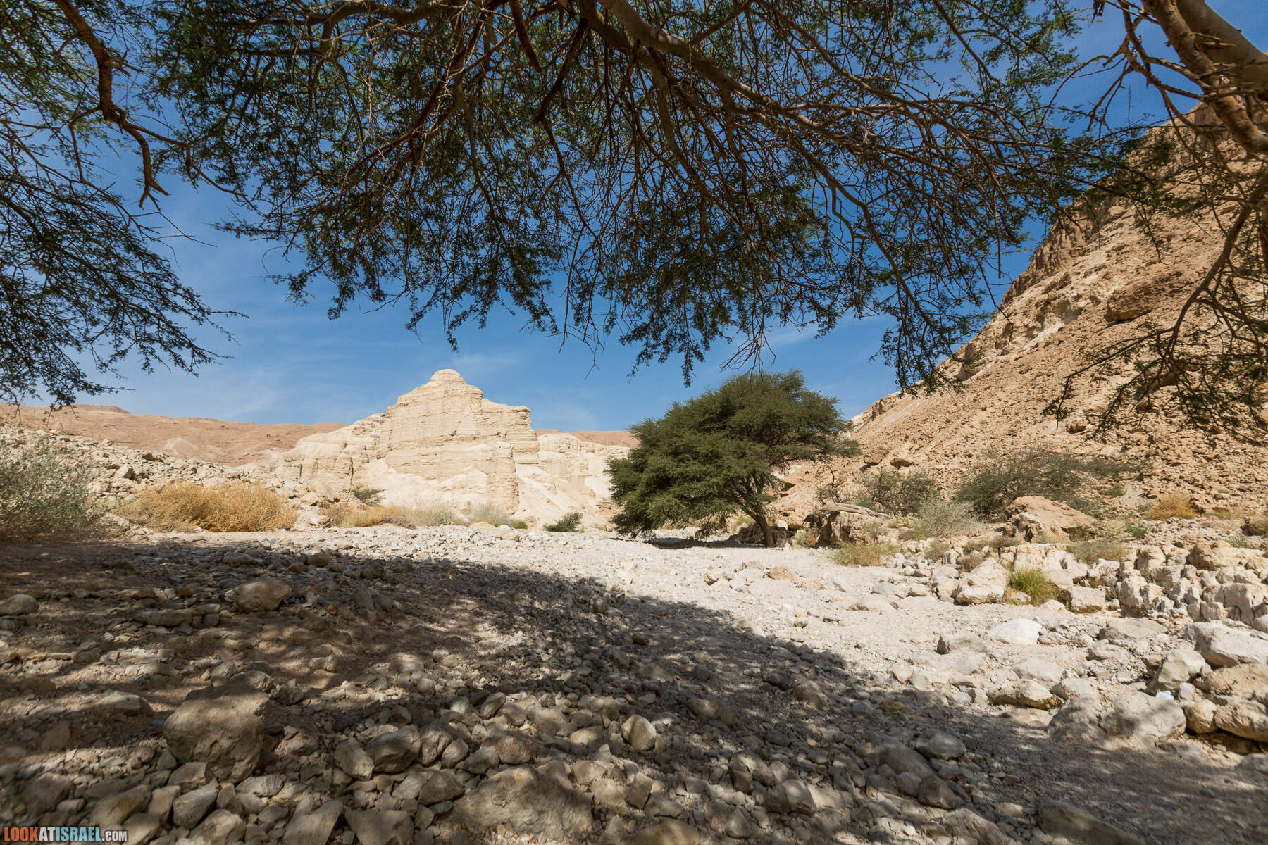 Крепость Зоар, Нахаль Ром и нахаль Израх | Zohar Fortress, Nahal Rom, Wadi Izrah | מצעד זוהר נחל רום ואדי יזרח | LookAtIsrael.com - Фото путешествия по Израилю|Крепость Зоар, Нахаль Ром и нахаль Израх | Zohar Fortress, Nahal Rom, Wadi Izrah | מצעד זוהר נחל רום ואדי יזרח | LookAtIsrael.com - Фото путешествия по Израилю|Крепость Зоар, Нахаль Ром и нахаль Израх | Zohar Fortress, Nahal Rom, Wadi Izrah | מצעד זוהר נחל רום ואדי יזרח | LookAtIsrael.com - Фото путешествия по Израилю|Крепость Зоар, Нахаль Ром и нахаль Израх | Zohar Fortress, Nahal Rom, Wadi Izrah | מצעד זוהר נחל רום ואדי יזרח | LookAtIsrael.com - Фото путешествия по Израилю