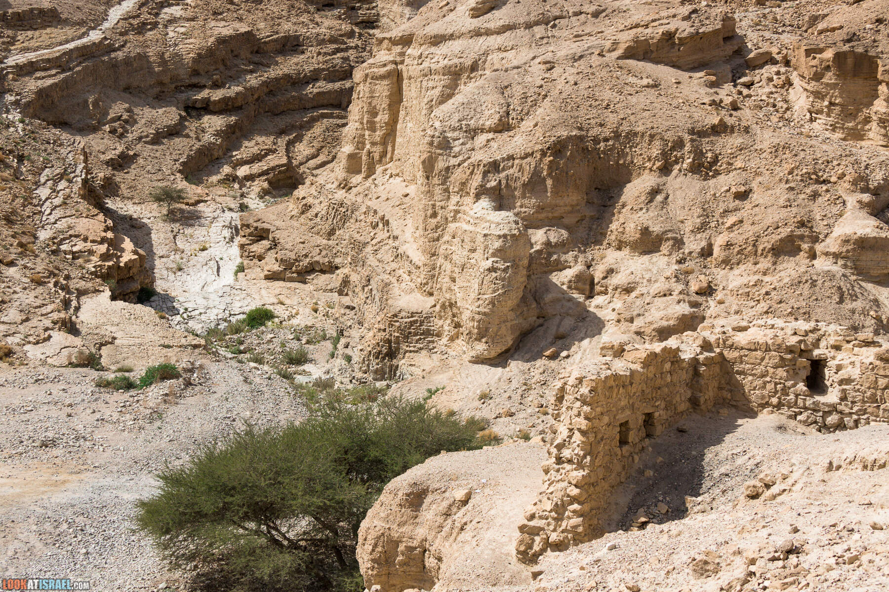 Крепость Зоар, Нахаль Ром и нахаль Израх | Zohar Fortress, Nahal Rom, Wadi Izrah | מצעד זוהר נחל רום ואדי יזרח | LookAtIsrael.com - Фото путешествия по Израилю|Крепость Зоар, Нахаль Ром и нахаль Израх | Zohar Fortress, Nahal Rom, Wadi Izrah | מצעד זוהר נחל רום ואדי יזרח | LookAtIsrael.com - Фото путешествия по Израилю|Крепость Зоар, Нахаль Ром и нахаль Израх | Zohar Fortress, Nahal Rom, Wadi Izrah | מצעד זוהר נחל רום ואדי יזרח | LookAtIsrael.com - Фото путешествия по Израилю|Крепость Зоар, Нахаль Ром и нахаль Израх | Zohar Fortress, Nahal Rom, Wadi Izrah | מצעד זוהר נחל רום ואדי יזרח | LookAtIsrael.com - Фото путешествия по Израилю