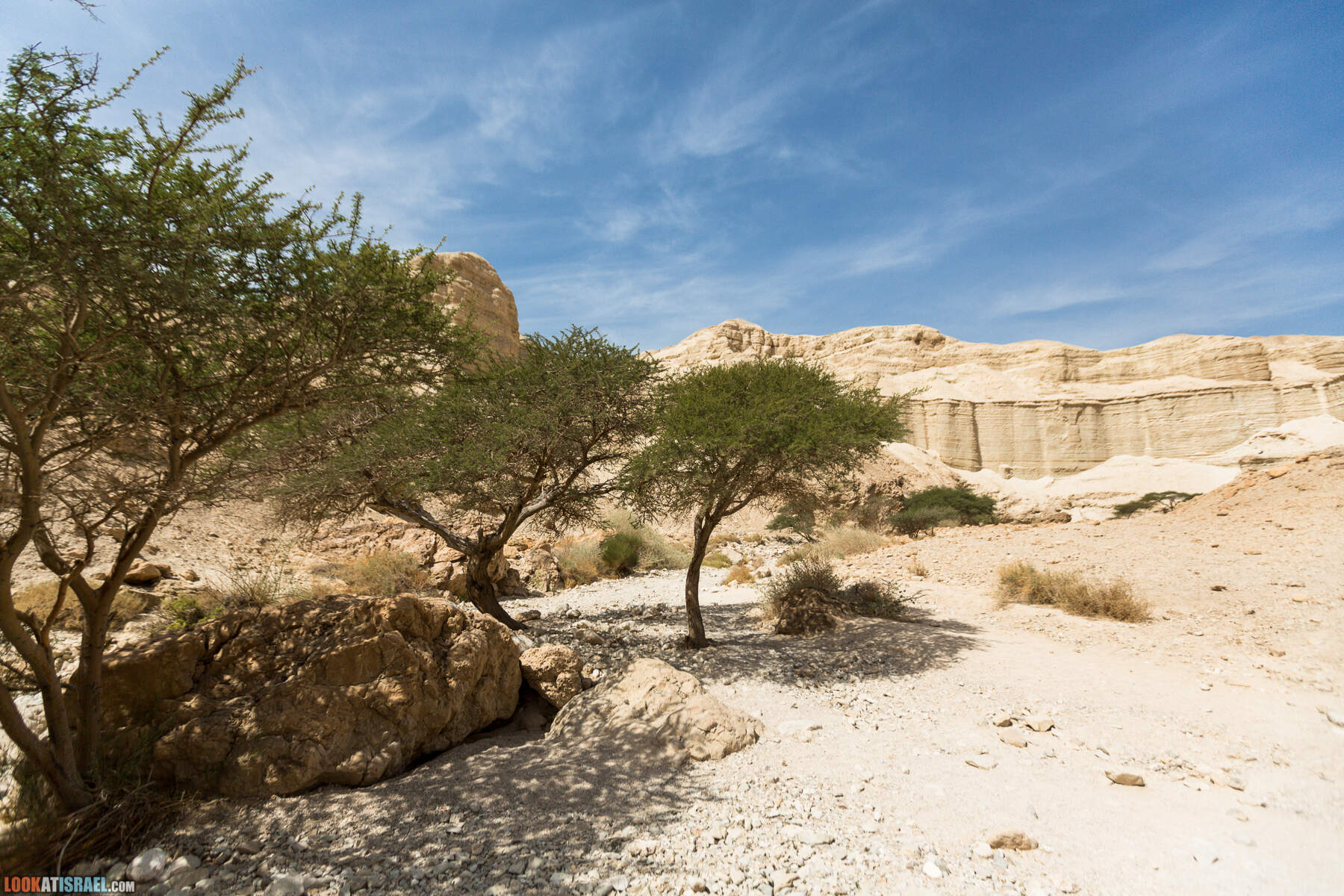 Крепость Зоар, Нахаль Ром и нахаль Израх | Zohar Fortress, Nahal Rom, Wadi Izrah | מצעד זוהר נחל רום ואדי יזרח | LookAtIsrael.com - Фото путешествия по Израилю|Крепость Зоар, Нахаль Ром и нахаль Израх | Zohar Fortress, Nahal Rom, Wadi Izrah | מצעד זוהר נחל רום ואדי יזרח | LookAtIsrael.com - Фото путешествия по Израилю|Крепость Зоар, Нахаль Ром и нахаль Израх | Zohar Fortress, Nahal Rom, Wadi Izrah | מצעד זוהר נחל רום ואדי יזרח | LookAtIsrael.com - Фото путешествия по Израилю|Крепость Зоар, Нахаль Ром и нахаль Израх | Zohar Fortress, Nahal Rom, Wadi Izrah | מצעד זוהר נחל רום ואדי יזרח | LookAtIsrael.com - Фото путешествия по Израилю