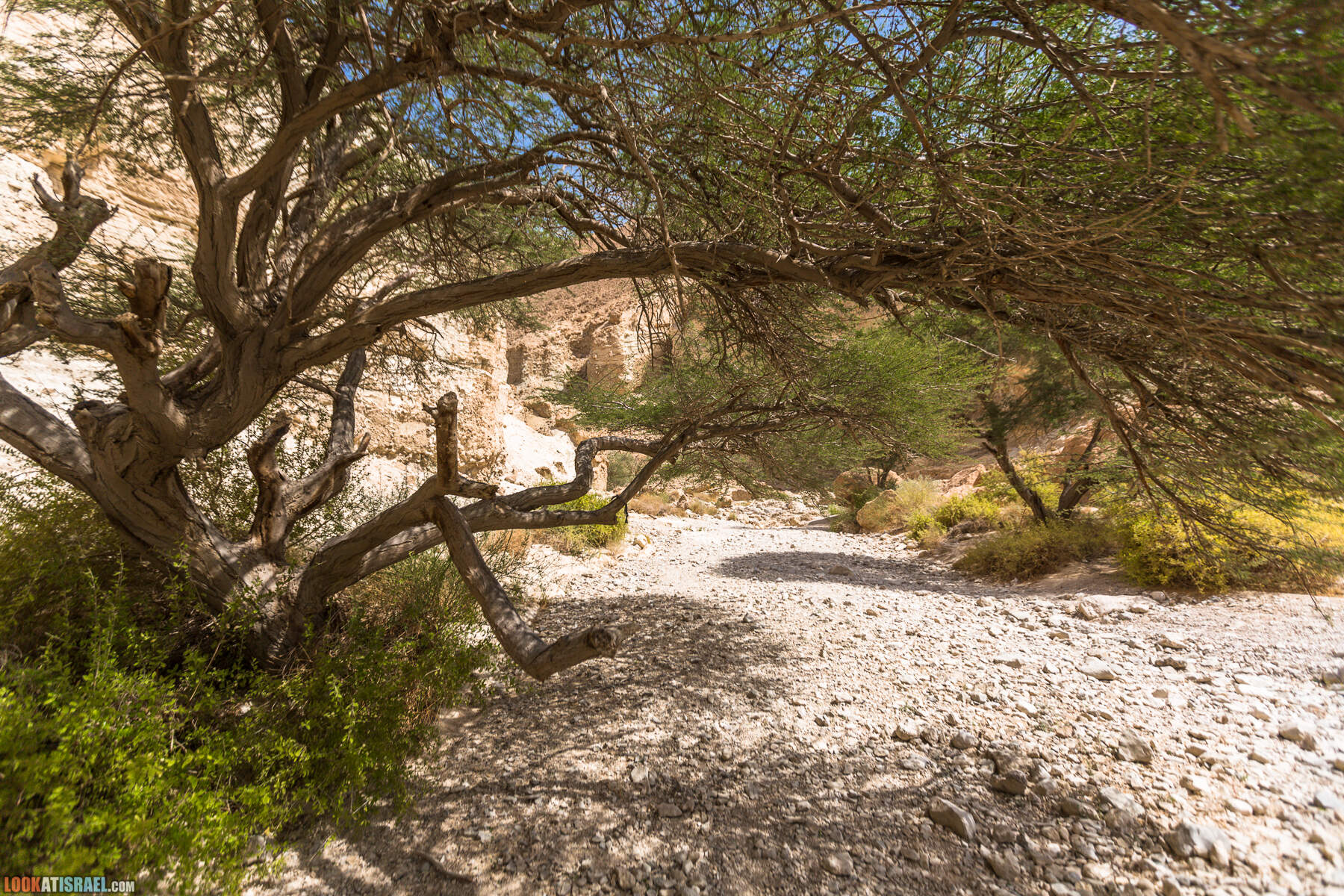 Крепость Зоар, Нахаль Ром и нахаль Израх | Zohar Fortress, Nahal Rom, Wadi Izrah | מצעד זוהר נחל רום ואדי יזרח | LookAtIsrael.com - Фото путешествия по Израилю|Крепость Зоар, Нахаль Ром и нахаль Израх | Zohar Fortress, Nahal Rom, Wadi Izrah | מצעד זוהר נחל רום ואדי יזרח | LookAtIsrael.com - Фото путешествия по Израилю|Крепость Зоар, Нахаль Ром и нахаль Израх | Zohar Fortress, Nahal Rom, Wadi Izrah | מצעד זוהר נחל רום ואדי יזרח | LookAtIsrael.com - Фото путешествия по Израилю|Крепость Зоар, Нахаль Ром и нахаль Израх | Zohar Fortress, Nahal Rom, Wadi Izrah | מצעד זוהר נחל רום ואדי יזרח | LookAtIsrael.com - Фото путешествия по Израилю