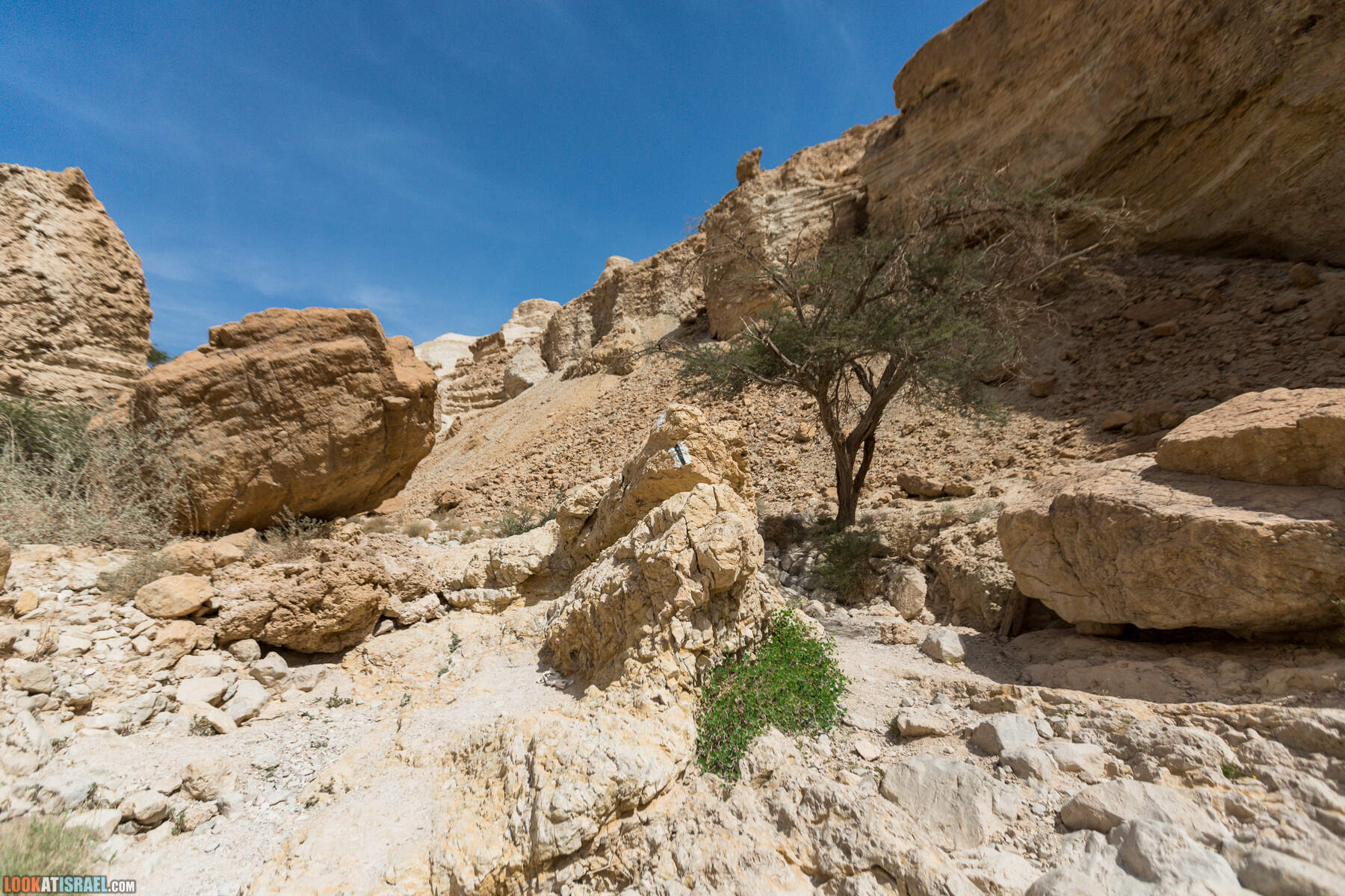 Крепость Зоар, Нахаль Ром и нахаль Израх | Zohar Fortress, Nahal Rom, Wadi Izrah | מצעד זוהר נחל רום ואדי יזרח | LookAtIsrael.com - Фото путешествия по Израилю|Крепость Зоар, Нахаль Ром и нахаль Израх | Zohar Fortress, Nahal Rom, Wadi Izrah | מצעד זוהר נחל רום ואדי יזרח | LookAtIsrael.com - Фото путешествия по Израилю|Крепость Зоар, Нахаль Ром и нахаль Израх | Zohar Fortress, Nahal Rom, Wadi Izrah | מצעד זוהר נחל רום ואדי יזרח | LookAtIsrael.com - Фото путешествия по Израилю|Крепость Зоар, Нахаль Ром и нахаль Израх | Zohar Fortress, Nahal Rom, Wadi Izrah | מצעד זוהר נחל רום ואדי יזרח | LookAtIsrael.com - Фото путешествия по Израилю