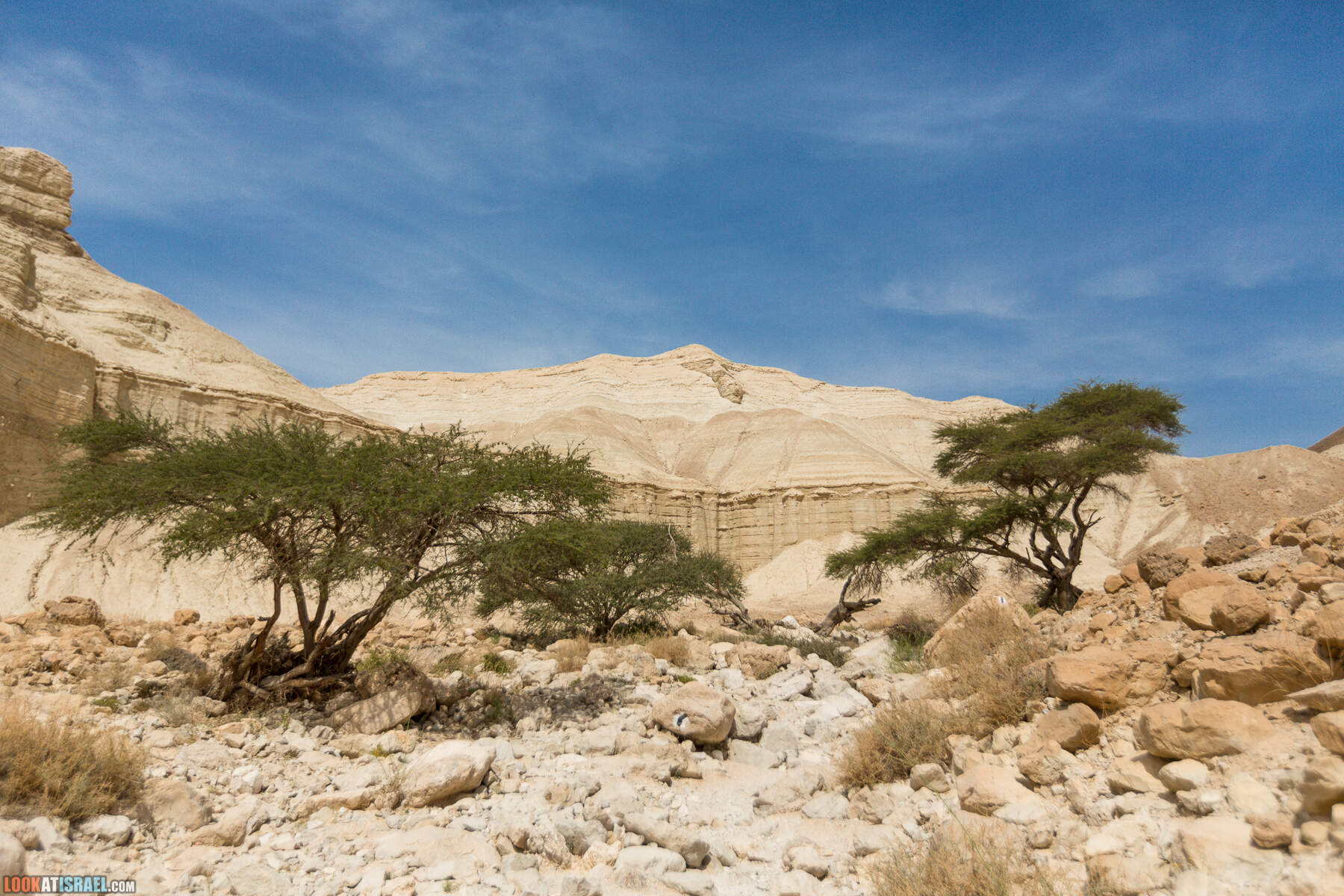Крепость Зоар, Нахаль Ром и нахаль Израх | Zohar Fortress, Nahal Rom, Wadi Izrah | מצעד זוהר נחל רום ואדי יזרח | LookAtIsrael.com - Фото путешествия по Израилю|Крепость Зоар, Нахаль Ром и нахаль Израх | Zohar Fortress, Nahal Rom, Wadi Izrah | מצעד זוהר נחל רום ואדי יזרח | LookAtIsrael.com - Фото путешествия по Израилю|Крепость Зоар, Нахаль Ром и нахаль Израх | Zohar Fortress, Nahal Rom, Wadi Izrah | מצעד זוהר נחל רום ואדי יזרח | LookAtIsrael.com - Фото путешествия по Израилю|Крепость Зоар, Нахаль Ром и нахаль Израх | Zohar Fortress, Nahal Rom, Wadi Izrah | מצעד זוהר נחל רום ואדי יזרח | LookAtIsrael.com - Фото путешествия по Израилю