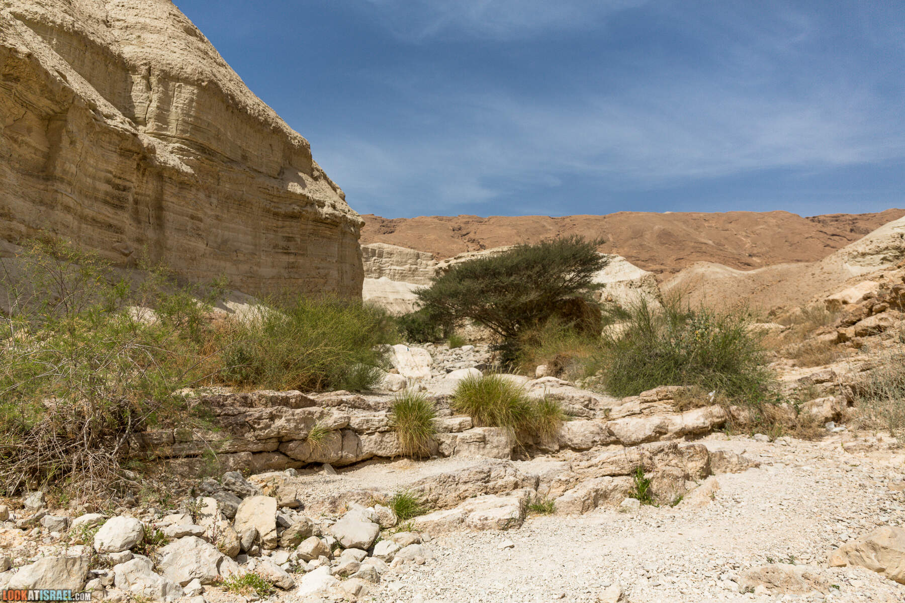Крепость Зоар, Нахаль Ром и нахаль Израх | Zohar Fortress, Nahal Rom, Wadi Izrah | מצעד זוהר נחל רום ואדי יזרח | LookAtIsrael.com - Фото путешествия по Израилю|Крепость Зоар, Нахаль Ром и нахаль Израх | Zohar Fortress, Nahal Rom, Wadi Izrah | מצעד זוהר נחל רום ואדי יזרח | LookAtIsrael.com - Фото путешествия по Израилю|Крепость Зоар, Нахаль Ром и нахаль Израх | Zohar Fortress, Nahal Rom, Wadi Izrah | מצעד זוהר נחל רום ואדי יזרח | LookAtIsrael.com - Фото путешествия по Израилю|Крепость Зоар, Нахаль Ром и нахаль Израх | Zohar Fortress, Nahal Rom, Wadi Izrah | מצעד זוהר נחל רום ואדי יזרח | LookAtIsrael.com - Фото путешествия по Израилю