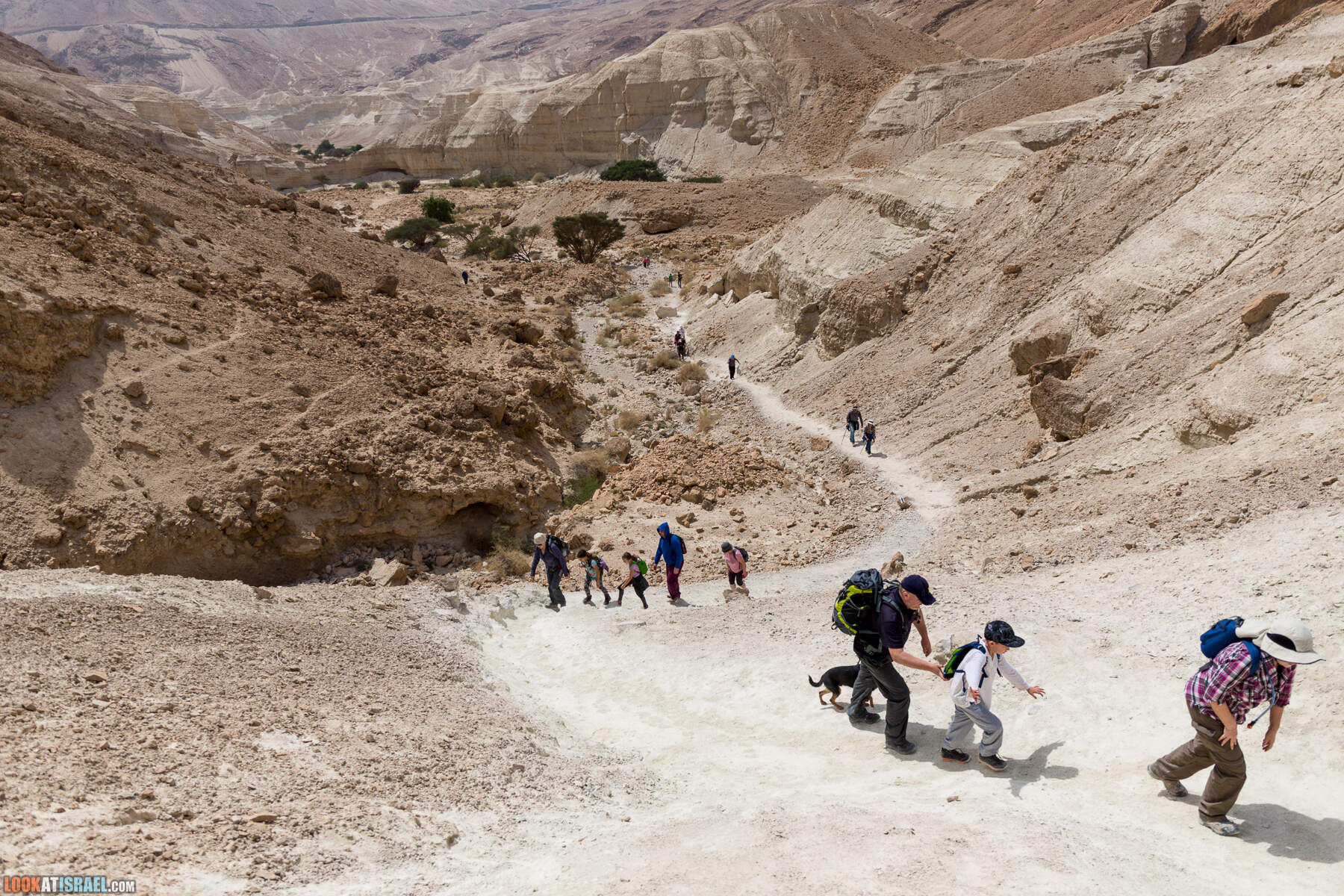 Крепость Зоар, Нахаль Ром и нахаль Израх | Zohar Fortress, Nahal Rom, Wadi Izrah | מצעד זוהר נחל רום ואדי יזרח | LookAtIsrael.com - Фото путешествия по Израилю|Крепость Зоар, Нахаль Ром и нахаль Израх | Zohar Fortress, Nahal Rom, Wadi Izrah | מצעד זוהר נחל רום ואדי יזרח | LookAtIsrael.com - Фото путешествия по Израилю|Крепость Зоар, Нахаль Ром и нахаль Израх | Zohar Fortress, Nahal Rom, Wadi Izrah | מצעד זוהר נחל רום ואדי יזרח | LookAtIsrael.com - Фото путешествия по Израилю|Крепость Зоар, Нахаль Ром и нахаль Израх | Zohar Fortress, Nahal Rom, Wadi Izrah | מצעד זוהר נחל רום ואדי יזרח | LookAtIsrael.com - Фото путешествия по Израилю