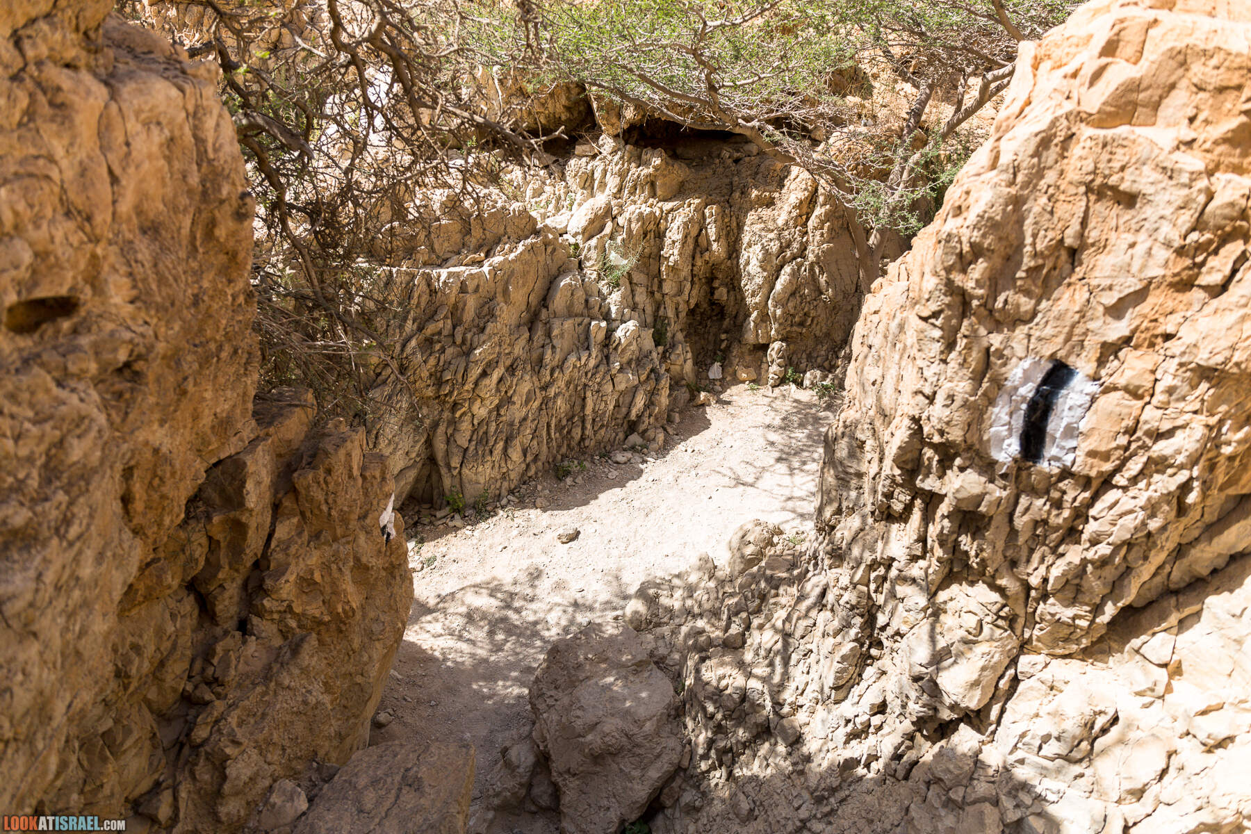 Крепость Зоар, Нахаль Ром и нахаль Израх | Zohar Fortress, Nahal Rom, Wadi Izrah | מצעד זוהר נחל רום ואדי יזרח | LookAtIsrael.com - Фото путешествия по Израилю|Крепость Зоар, Нахаль Ром и нахаль Израх | Zohar Fortress, Nahal Rom, Wadi Izrah | מצעד זוהר נחל רום ואדי יזרח | LookAtIsrael.com - Фото путешествия по Израилю|Крепость Зоар, Нахаль Ром и нахаль Израх | Zohar Fortress, Nahal Rom, Wadi Izrah | מצעד זוהר נחל רום ואדי יזרח | LookAtIsrael.com - Фото путешествия по Израилю|Крепость Зоар, Нахаль Ром и нахаль Израх | Zohar Fortress, Nahal Rom, Wadi Izrah | מצעד זוהר נחל רום ואדי יזרח | LookAtIsrael.com - Фото путешествия по Израилю
