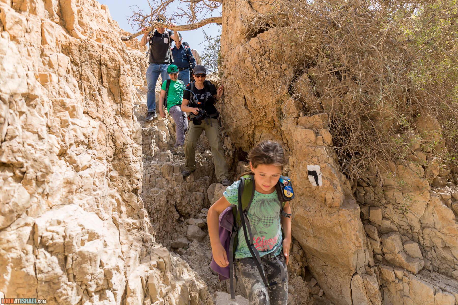 Крепость Зоар, Нахаль Ром и нахаль Израх | Zohar Fortress, Nahal Rom, Wadi Izrah | מצעד זוהר נחל רום ואדי יזרח | LookAtIsrael.com - Фото путешествия по Израилю|Крепость Зоар, Нахаль Ром и нахаль Израх | Zohar Fortress, Nahal Rom, Wadi Izrah | מצעד זוהר נחל רום ואדי יזרח | LookAtIsrael.com - Фото путешествия по Израилю|Крепость Зоар, Нахаль Ром и нахаль Израх | Zohar Fortress, Nahal Rom, Wadi Izrah | מצעד זוהר נחל רום ואדי יזרח | LookAtIsrael.com - Фото путешествия по Израилю|Крепость Зоар, Нахаль Ром и нахаль Израх | Zohar Fortress, Nahal Rom, Wadi Izrah | מצעד זוהר נחל רום ואדי יזרח | LookAtIsrael.com - Фото путешествия по Израилю
