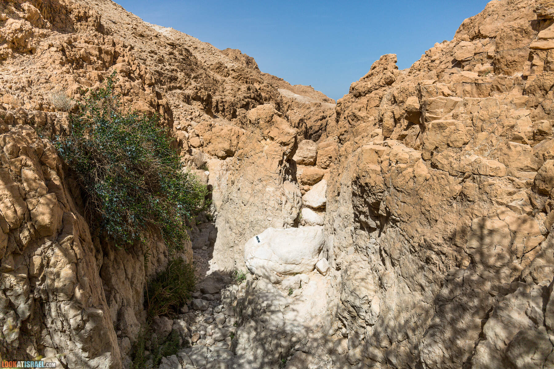 Крепость Зоар, Нахаль Ром и нахаль Израх | Zohar Fortress, Nahal Rom, Wadi Izrah | מצעד זוהר נחל רום ואדי יזרח | LookAtIsrael.com - Фото путешествия по Израилю|Крепость Зоар, Нахаль Ром и нахаль Израх | Zohar Fortress, Nahal Rom, Wadi Izrah | מצעד זוהר נחל רום ואדי יזרח | LookAtIsrael.com - Фото путешествия по Израилю|Крепость Зоар, Нахаль Ром и нахаль Израх | Zohar Fortress, Nahal Rom, Wadi Izrah | מצעד זוהר נחל רום ואדי יזרח | LookAtIsrael.com - Фото путешествия по Израилю|Крепость Зоар, Нахаль Ром и нахаль Израх | Zohar Fortress, Nahal Rom, Wadi Izrah | מצעד זוהר נחל רום ואדי יזרח | LookAtIsrael.com - Фото путешествия по Израилю