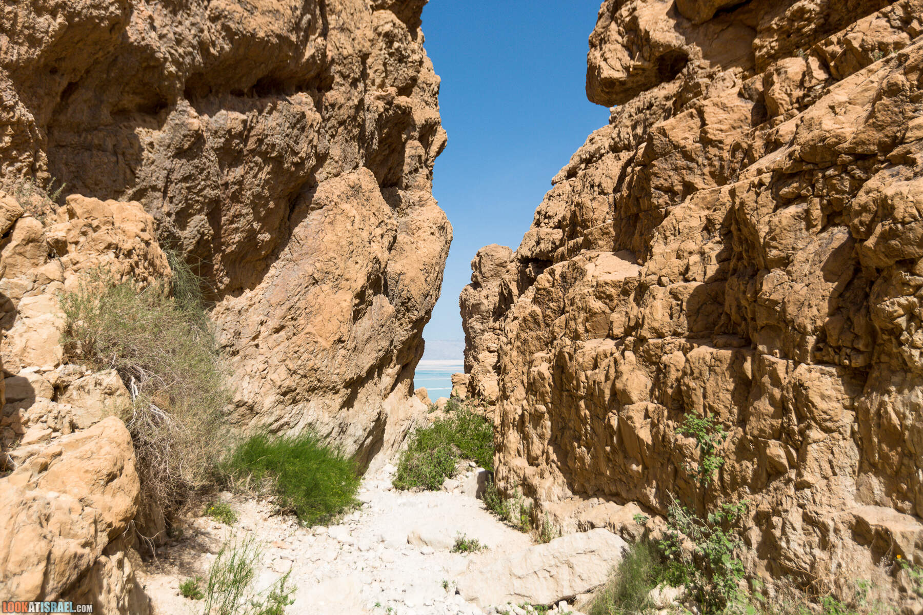 Крепость Зоар, Нахаль Ром и нахаль Израх | Zohar Fortress, Nahal Rom, Wadi Izrah | מצעד זוהר נחל רום ואדי יזרח | LookAtIsrael.com - Фото путешествия по Израилю|Крепость Зоар, Нахаль Ром и нахаль Израх | Zohar Fortress, Nahal Rom, Wadi Izrah | מצעד זוהר נחל רום ואדי יזרח | LookAtIsrael.com - Фото путешествия по Израилю|Крепость Зоар, Нахаль Ром и нахаль Израх | Zohar Fortress, Nahal Rom, Wadi Izrah | מצעד זוהר נחל רום ואדי יזרח | LookAtIsrael.com - Фото путешествия по Израилю|Крепость Зоар, Нахаль Ром и нахаль Израх | Zohar Fortress, Nahal Rom, Wadi Izrah | מצעד זוהר נחל רום ואדי יזרח | LookAtIsrael.com - Фото путешествия по Израилю