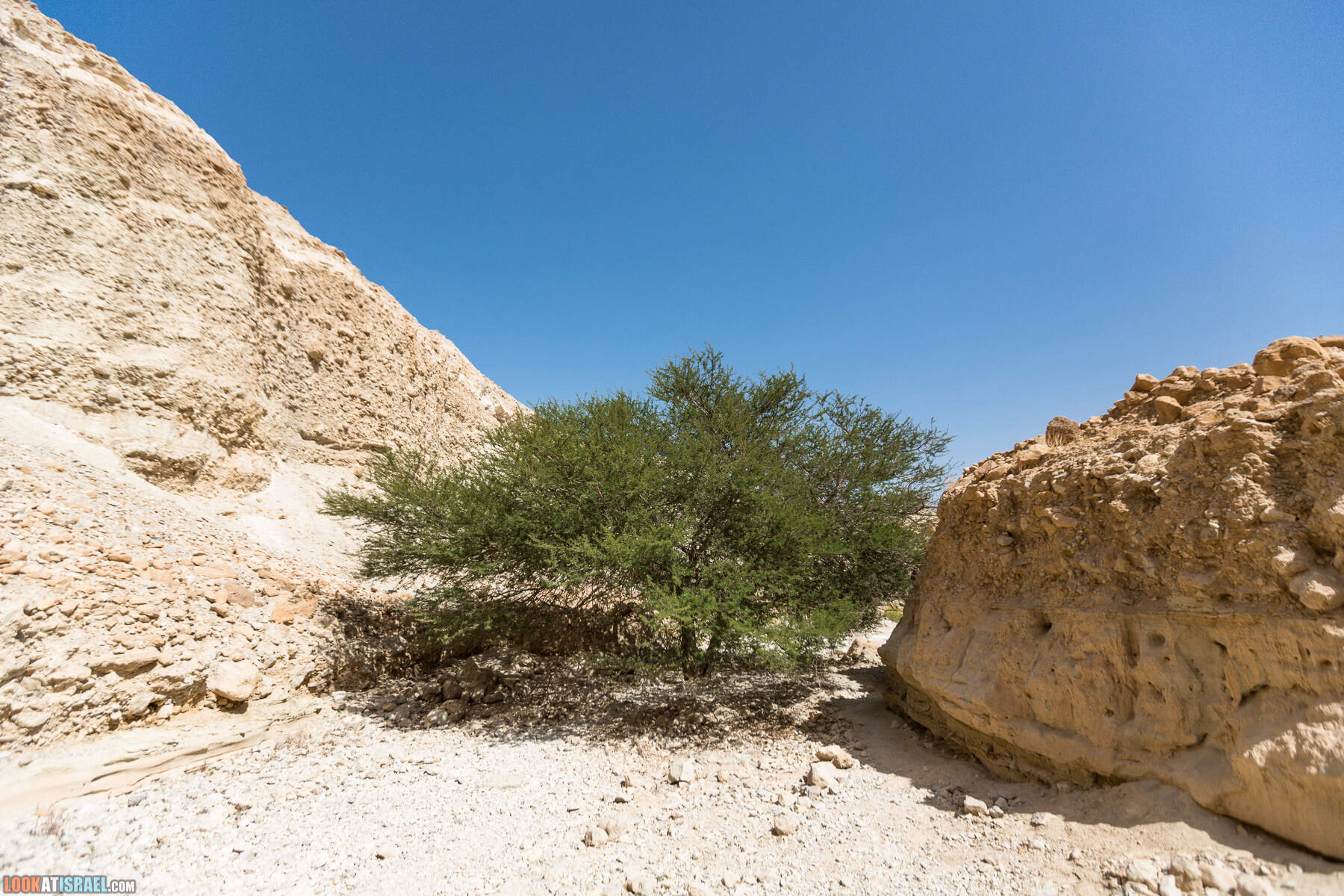 Крепость Зоар, Нахаль Ром и нахаль Израх | Zohar Fortress, Nahal Rom, Wadi Izrah | מצעד זוהר נחל רום ואדי יזרח | LookAtIsrael.com - Фото путешествия по Израилю|Крепость Зоар, Нахаль Ром и нахаль Израх | Zohar Fortress, Nahal Rom, Wadi Izrah | מצעד זוהר נחל רום ואדי יזרח | LookAtIsrael.com - Фото путешествия по Израилю|Крепость Зоар, Нахаль Ром и нахаль Израх | Zohar Fortress, Nahal Rom, Wadi Izrah | מצעד זוהר נחל רום ואדי יזרח | LookAtIsrael.com - Фото путешествия по Израилю|Крепость Зоар, Нахаль Ром и нахаль Израх | Zohar Fortress, Nahal Rom, Wadi Izrah | מצעד זוהר נחל רום ואדי יזרח | LookAtIsrael.com - Фото путешествия по Израилю