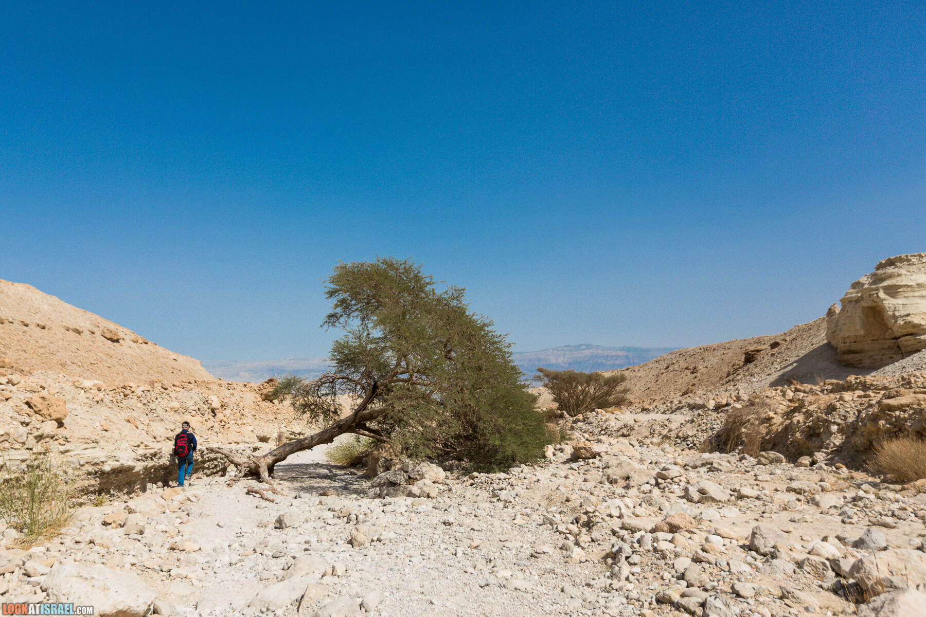 Крепость Зоар, Нахаль Ром и нахаль Израх | Zohar Fortress, Nahal Rom, Wadi Izrah | מצעד זוהר נחל רום ואדי יזרח | LookAtIsrael.com - Фото путешествия по Израилю|Крепость Зоар, Нахаль Ром и нахаль Израх | Zohar Fortress, Nahal Rom, Wadi Izrah | מצעד זוהר נחל רום ואדי יזרח | LookAtIsrael.com - Фото путешествия по Израилю|Крепость Зоар, Нахаль Ром и нахаль Израх | Zohar Fortress, Nahal Rom, Wadi Izrah | מצעד זוהר נחל רום ואדי יזרח | LookAtIsrael.com - Фото путешествия по Израилю|Крепость Зоар, Нахаль Ром и нахаль Израх | Zohar Fortress, Nahal Rom, Wadi Izrah | מצעד זוהר נחל רום ואדי יזרח | LookAtIsrael.com - Фото путешествия по Израилю